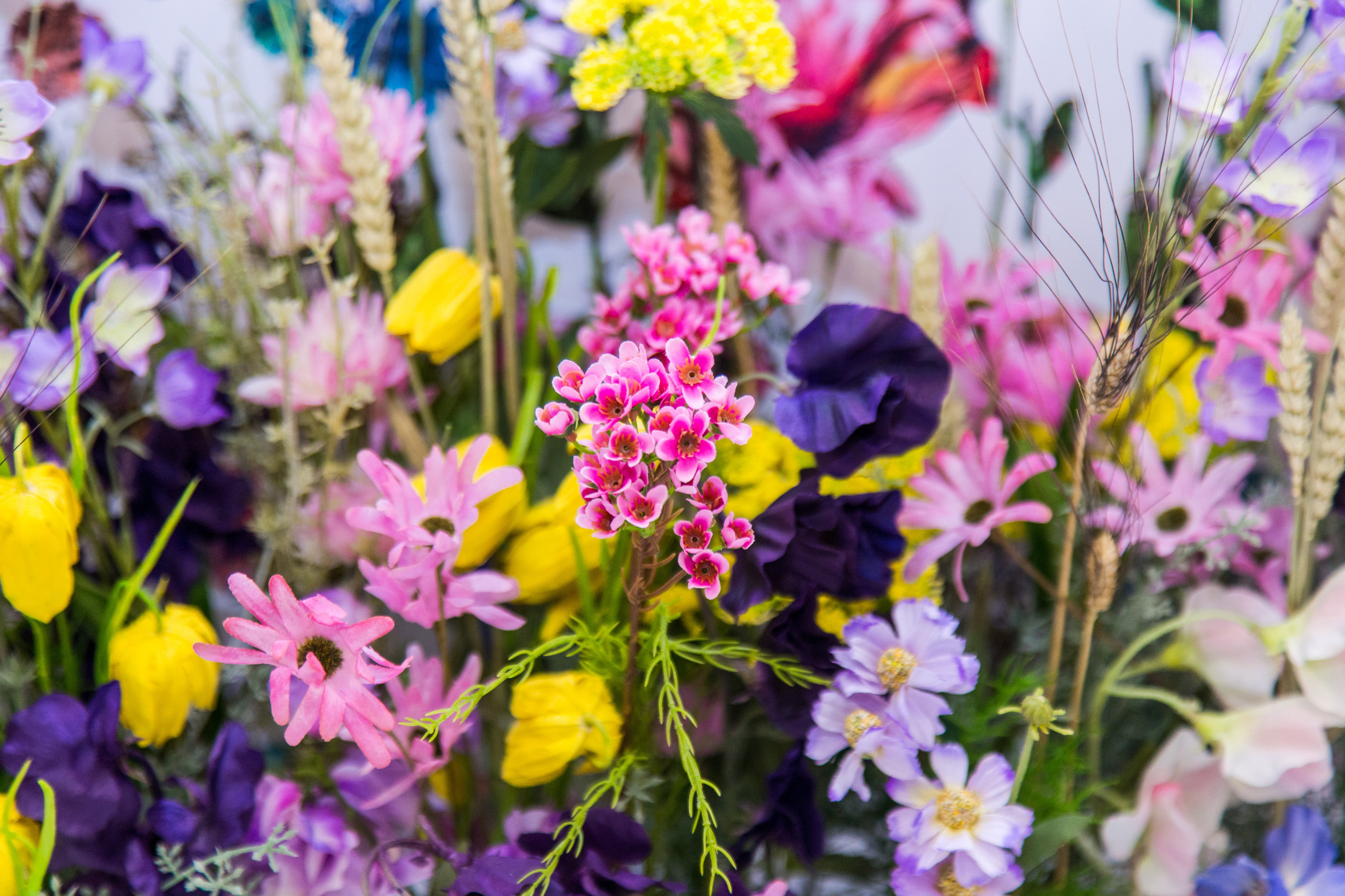 Dior. Виктория Еремина — фотограф и видеограф в Москве