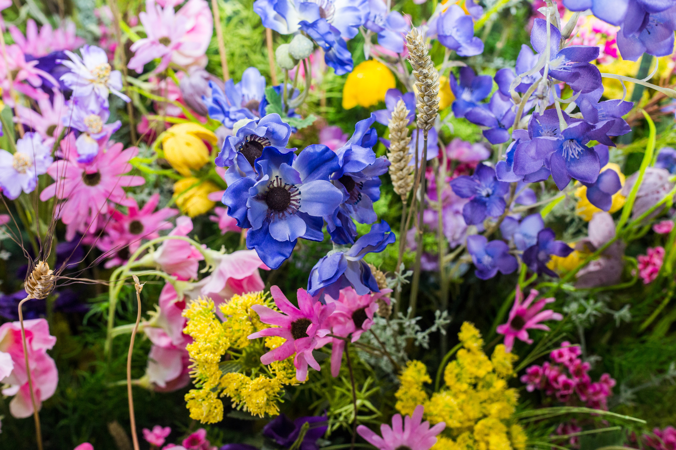 Dior. Виктория Еремина — фотограф и видеограф в Москве