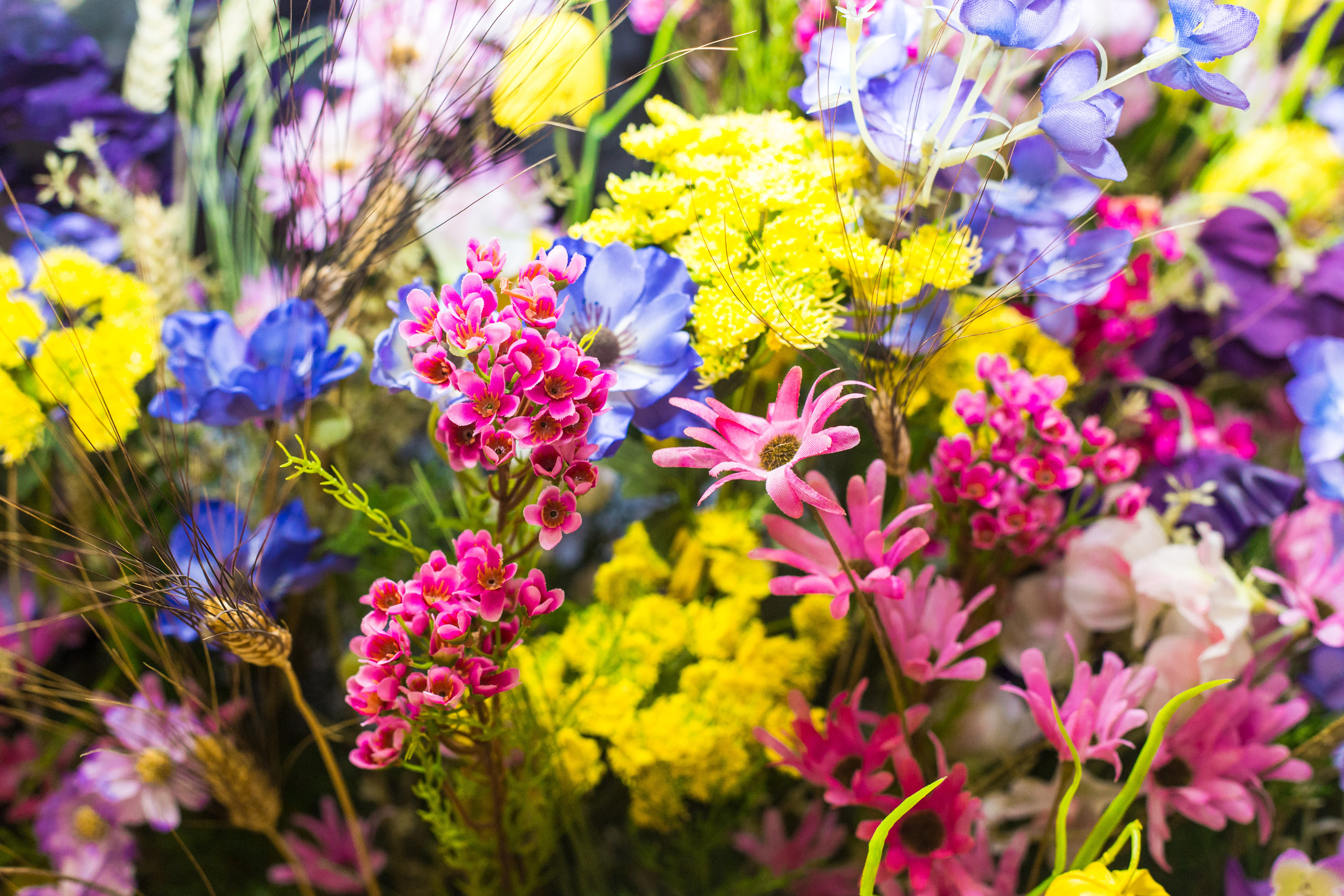 Dior. Виктория Еремина — фотограф и видеограф в Москве