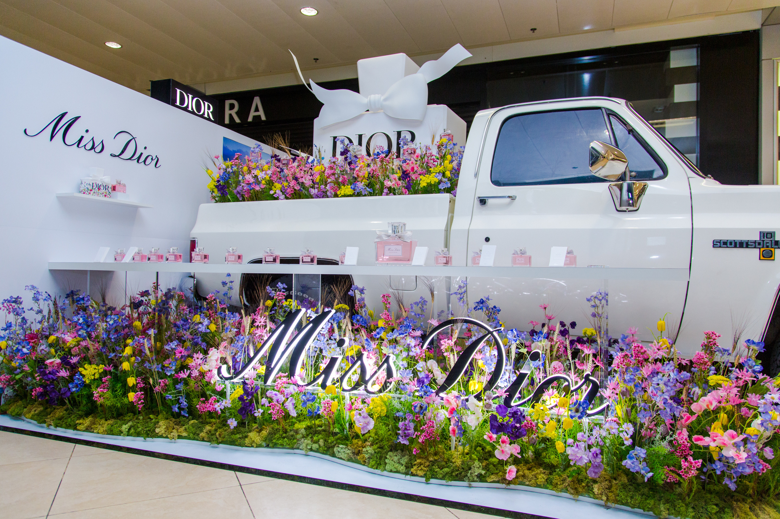 Dior. Виктория Еремина — фотограф и видеограф в Москве