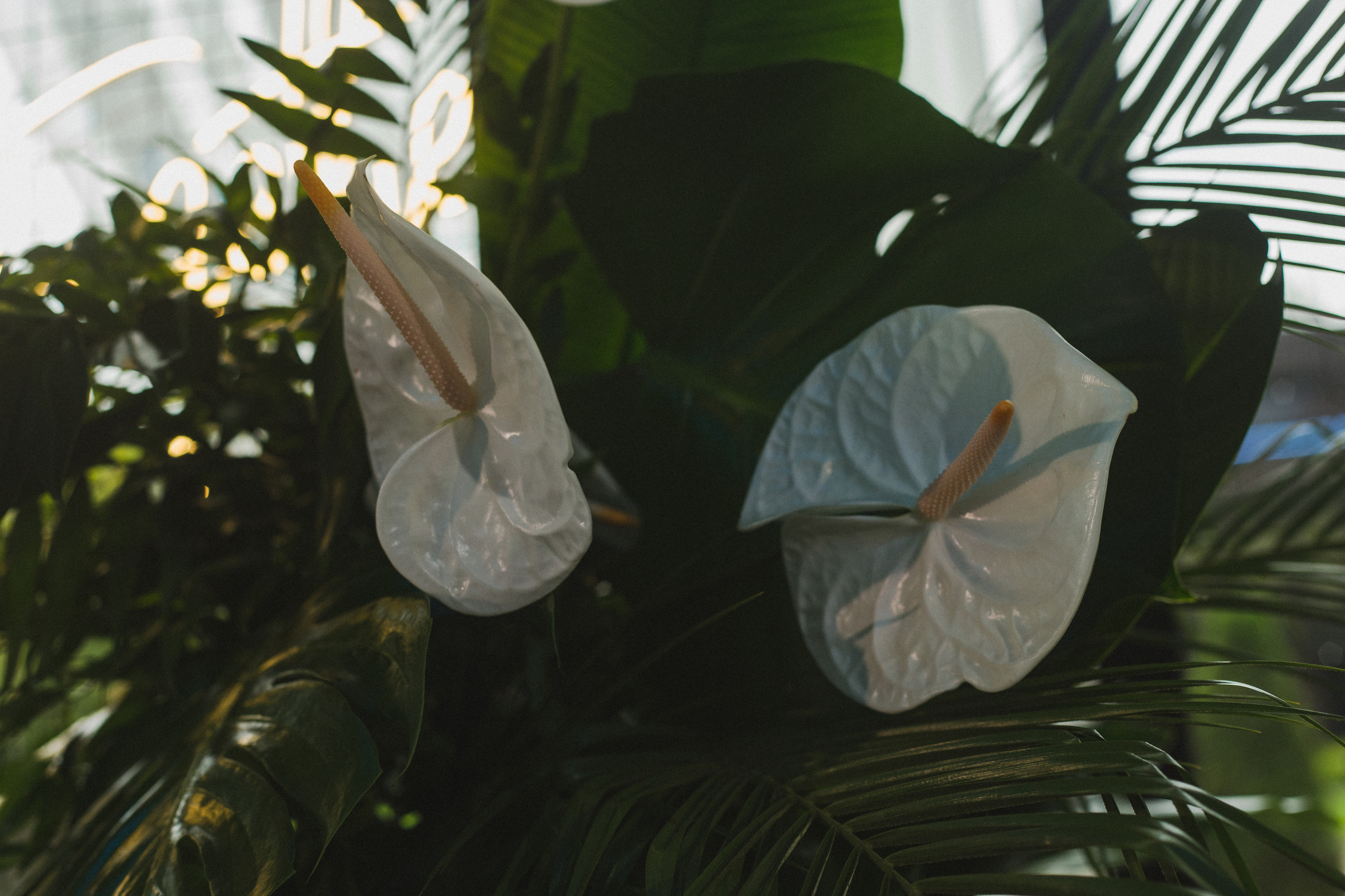 Декор свадьбы. Виктория Еремина — фотограф и видеограф в Москве