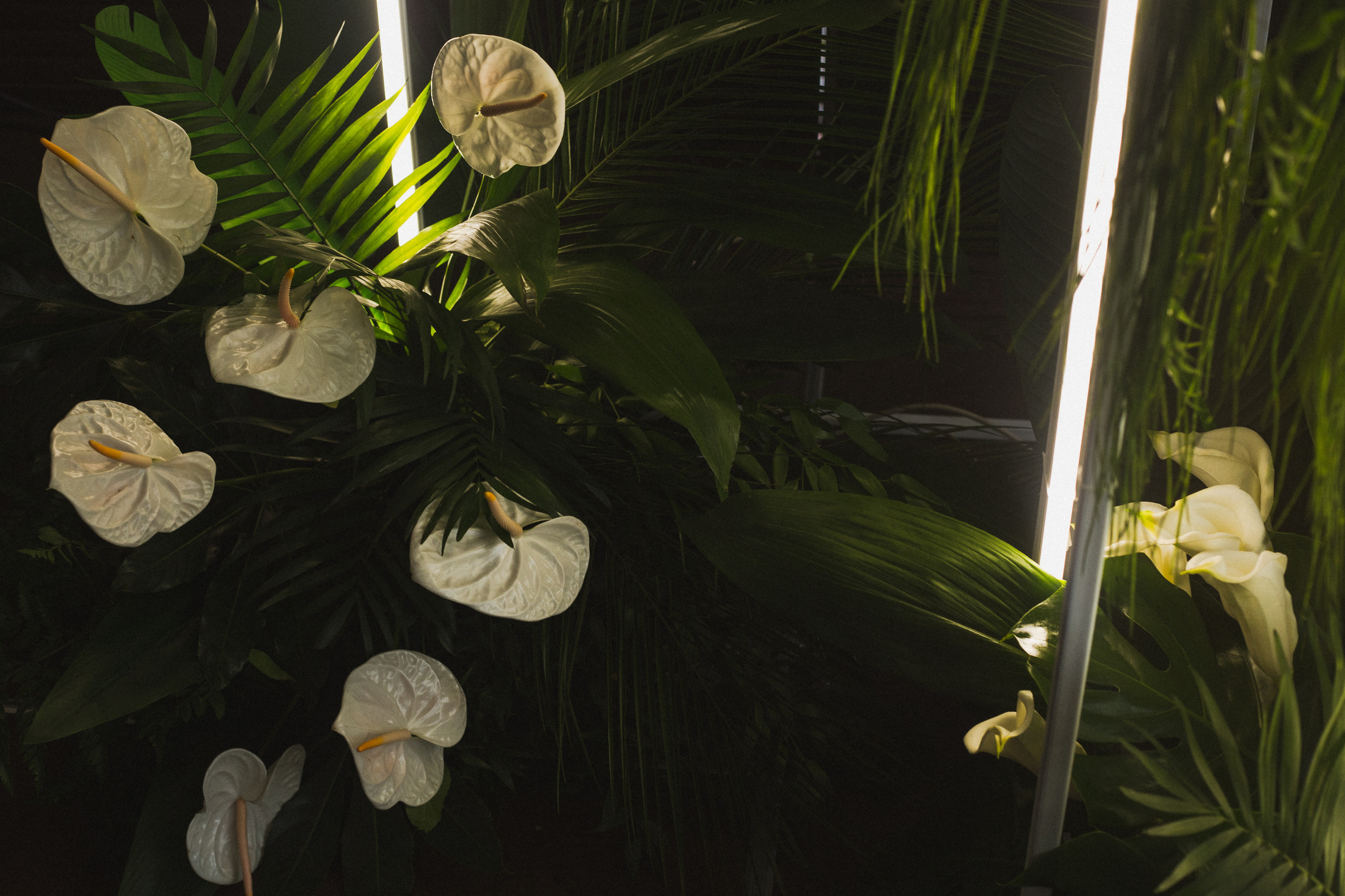 Декор свадьбы. Виктория Еремина — фотограф и видеограф в Москве