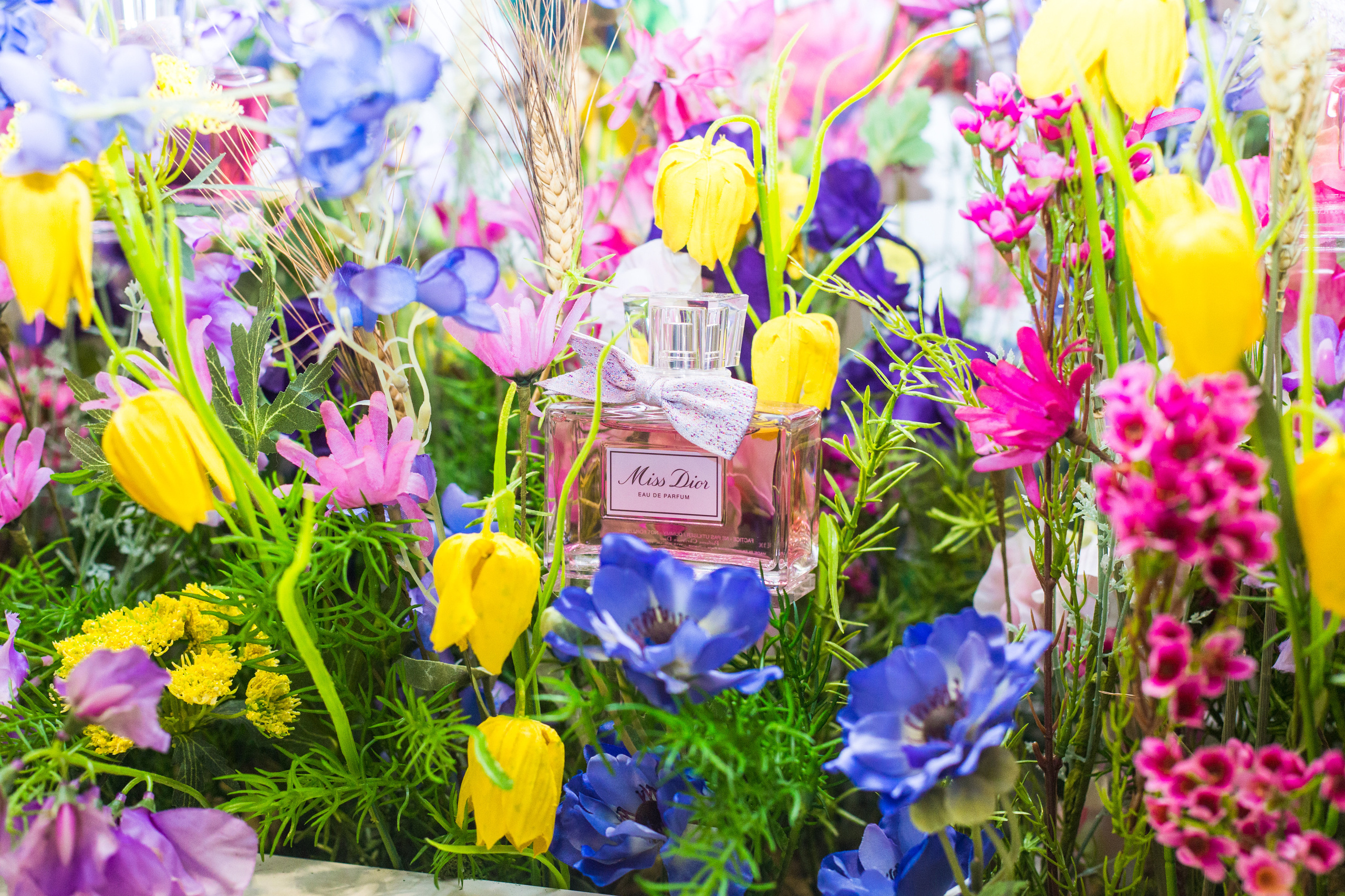 Dior. Виктория Еремина — фотограф и видеограф в Москве