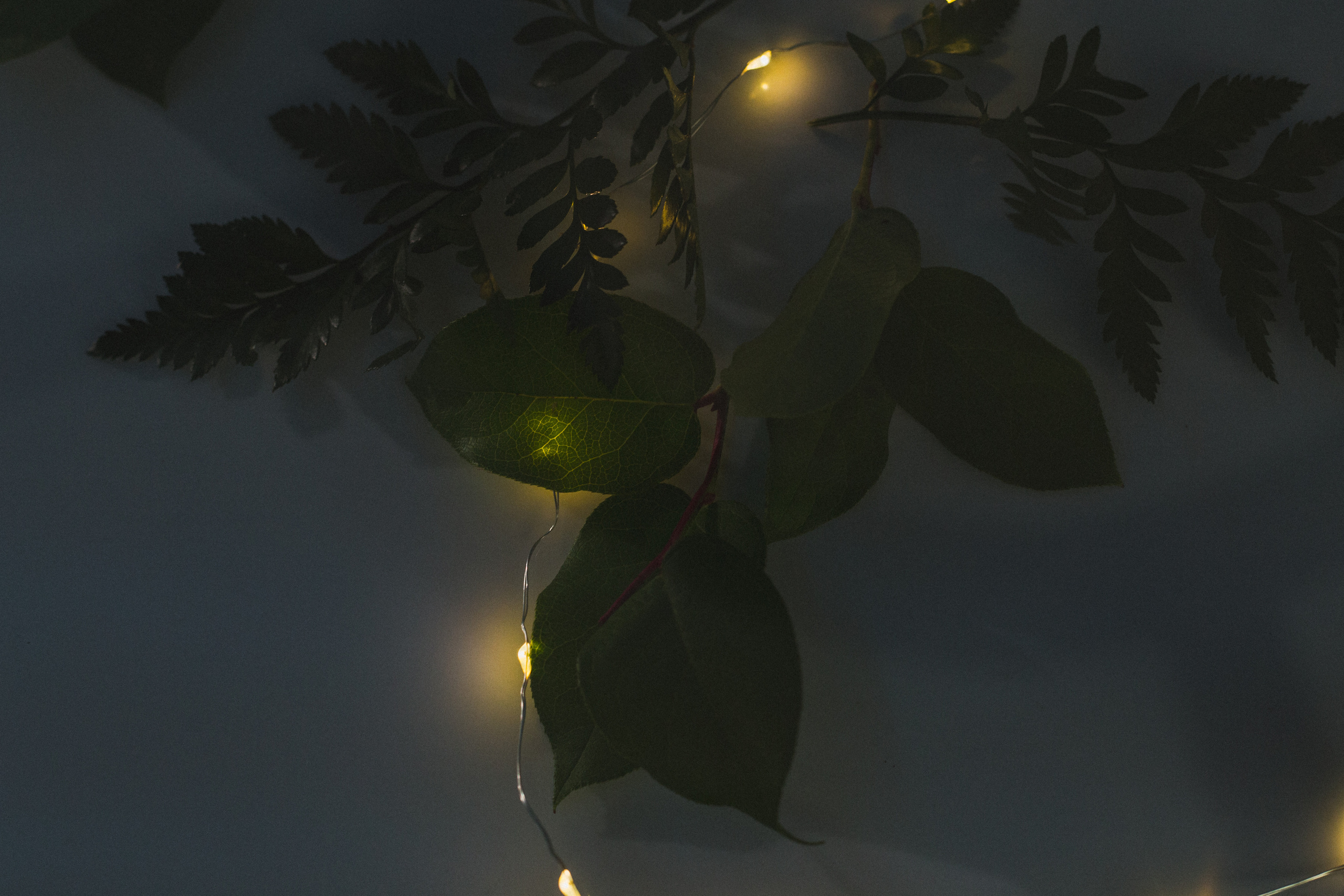 Декор свадьбы. Виктория Еремина — фотограф и видеограф в Москве