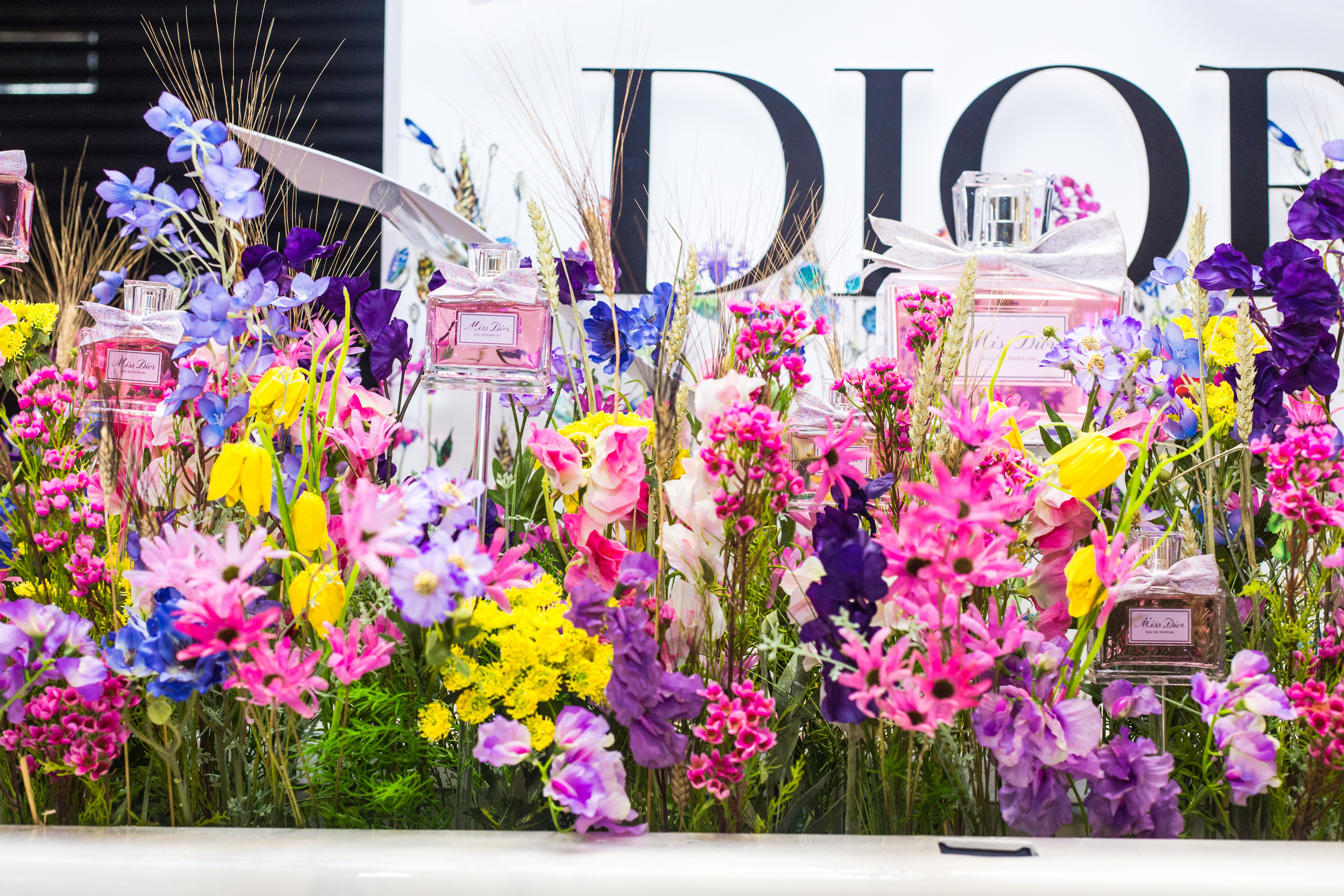 Dior. Виктория Еремина — фотограф и видеограф в Москве