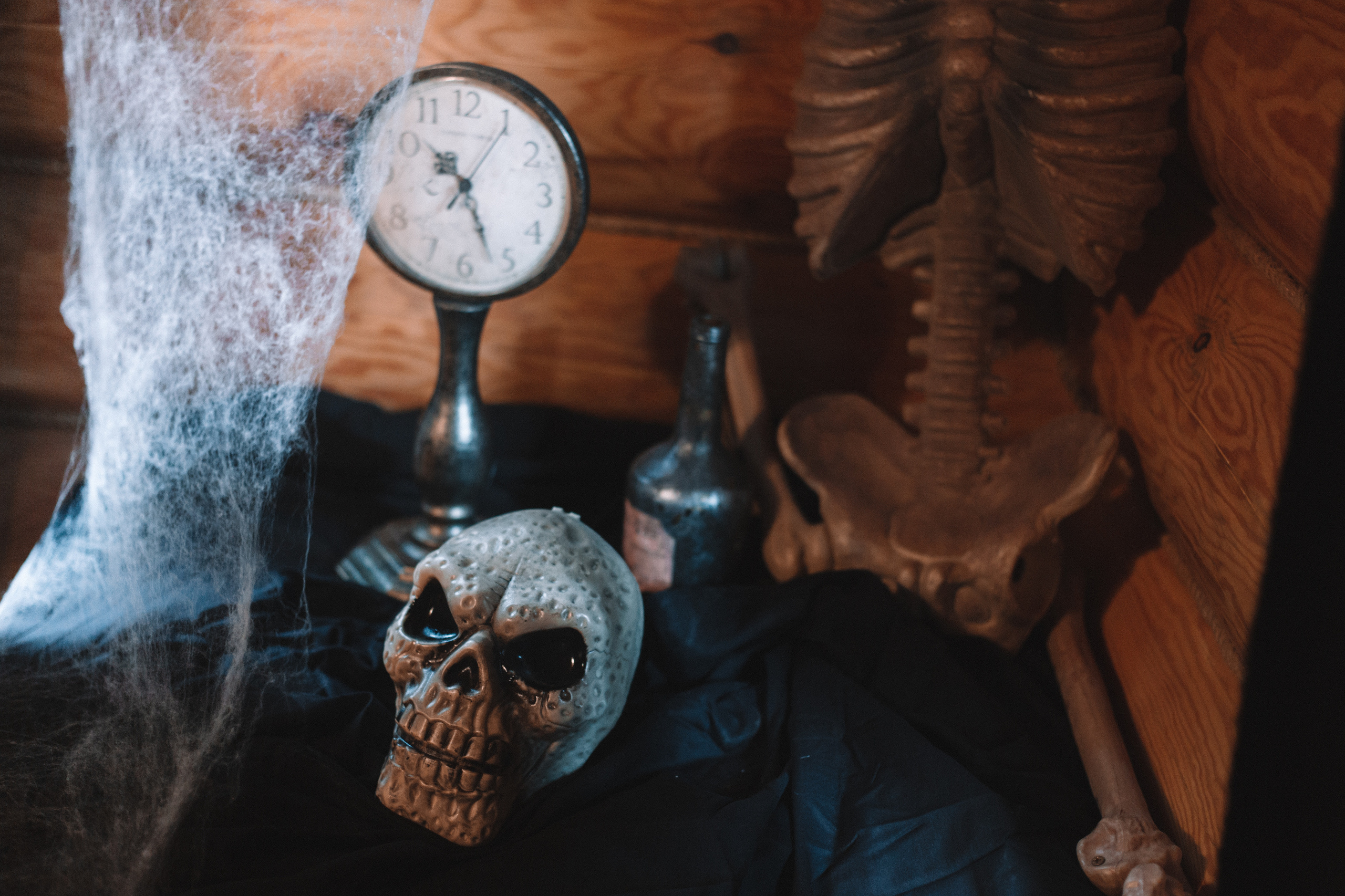 День рождения Ариэль. Виктория Еремина — фотограф и видеограф в Москве