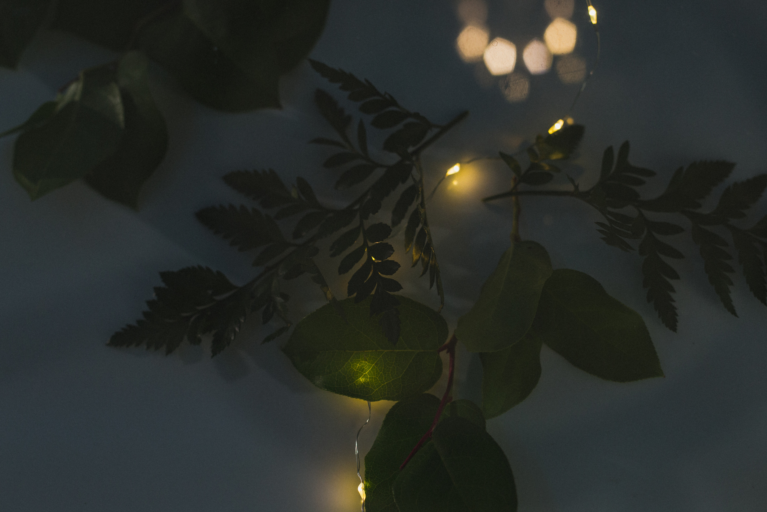 Декор свадьбы. Виктория Еремина — фотограф и видеограф в Москве