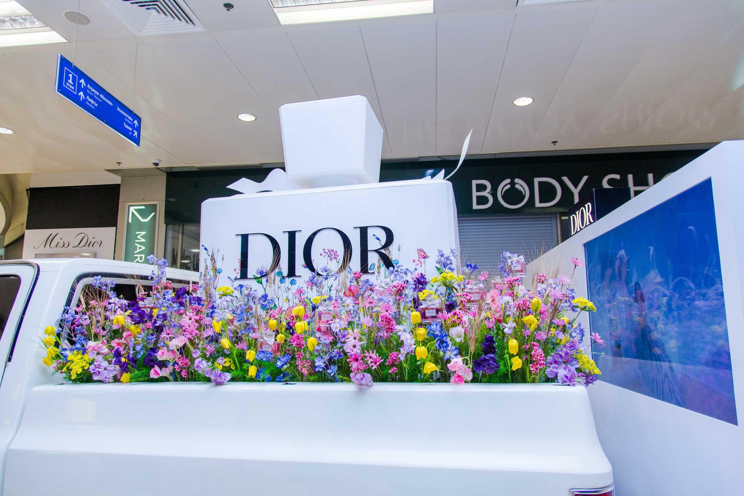 Dior. Виктория Еремина — фотограф и видеограф в Москве