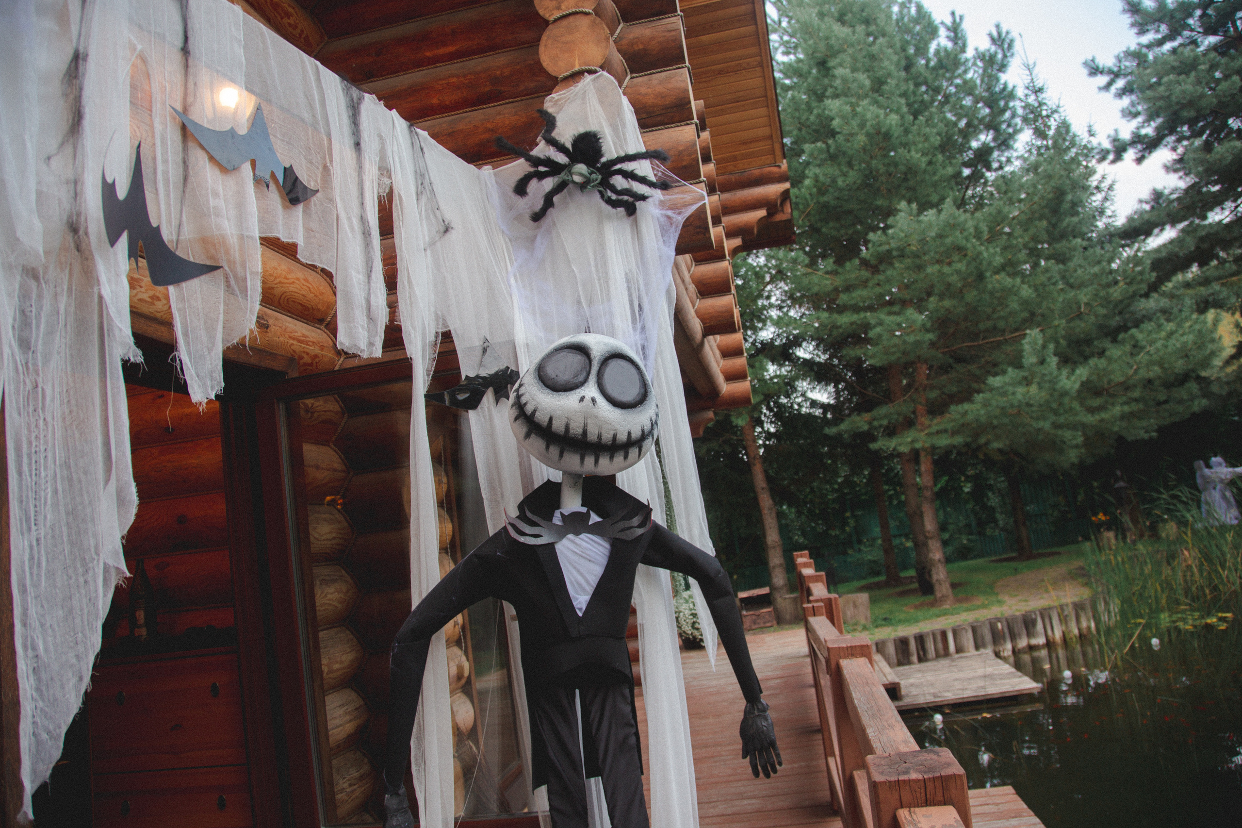 День рождения Ариэль. Виктория Еремина — фотограф и видеограф в Москве