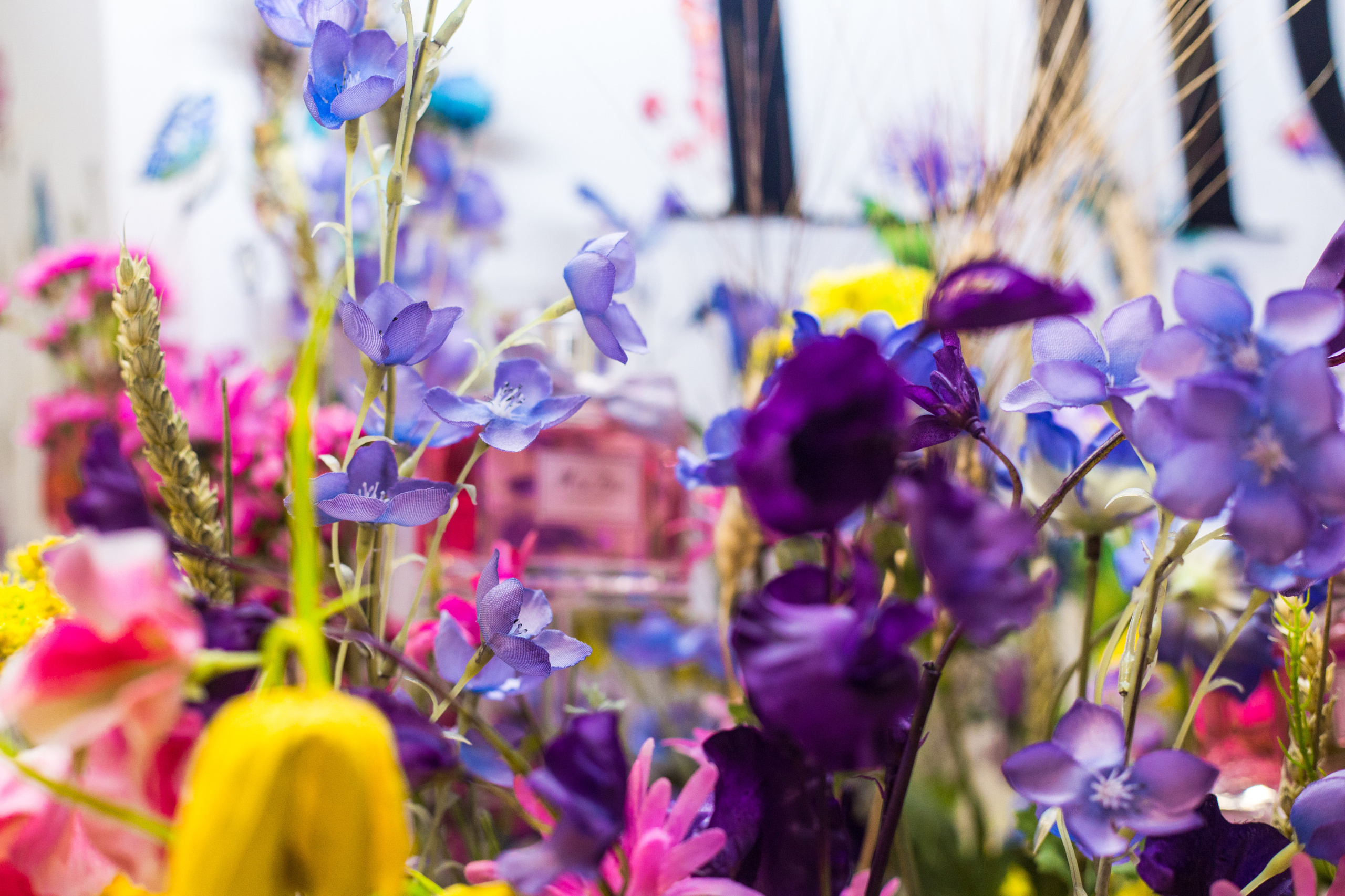 Dior. Виктория Еремина — фотограф и видеограф в Москве