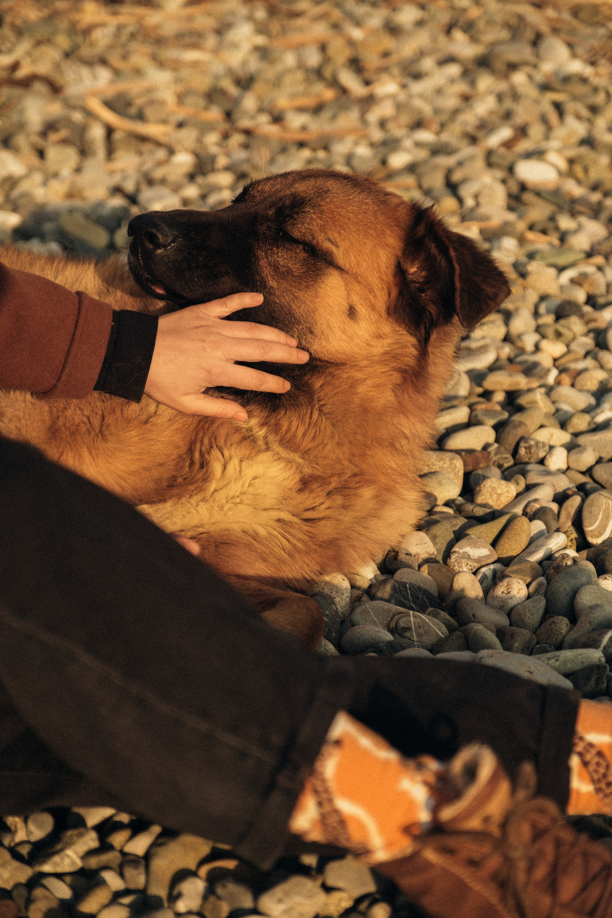Миро. Свадебный Видеограф Фотограф в Сочи