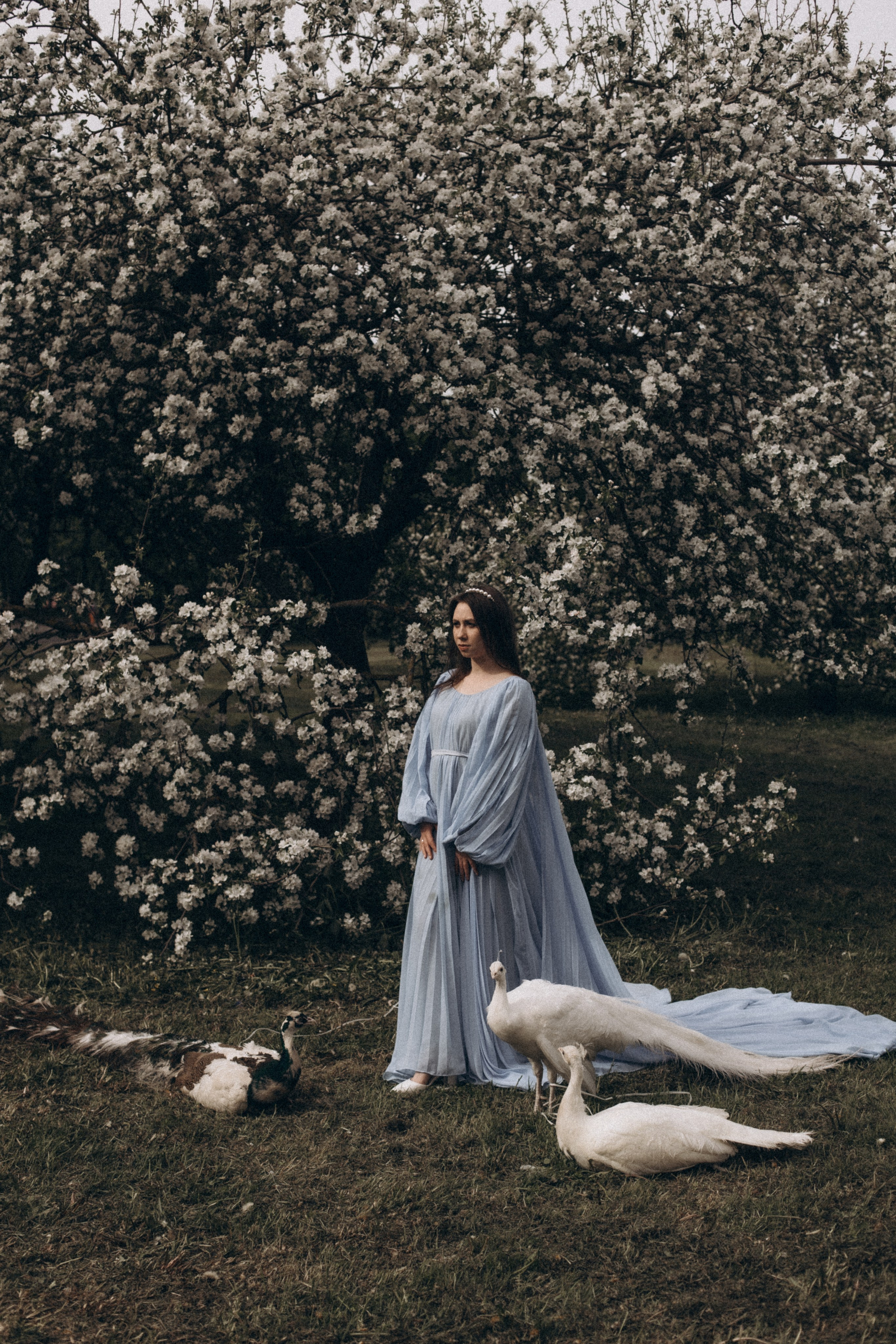 Анастосия. Kolomenskaia Kseniia Family photographer