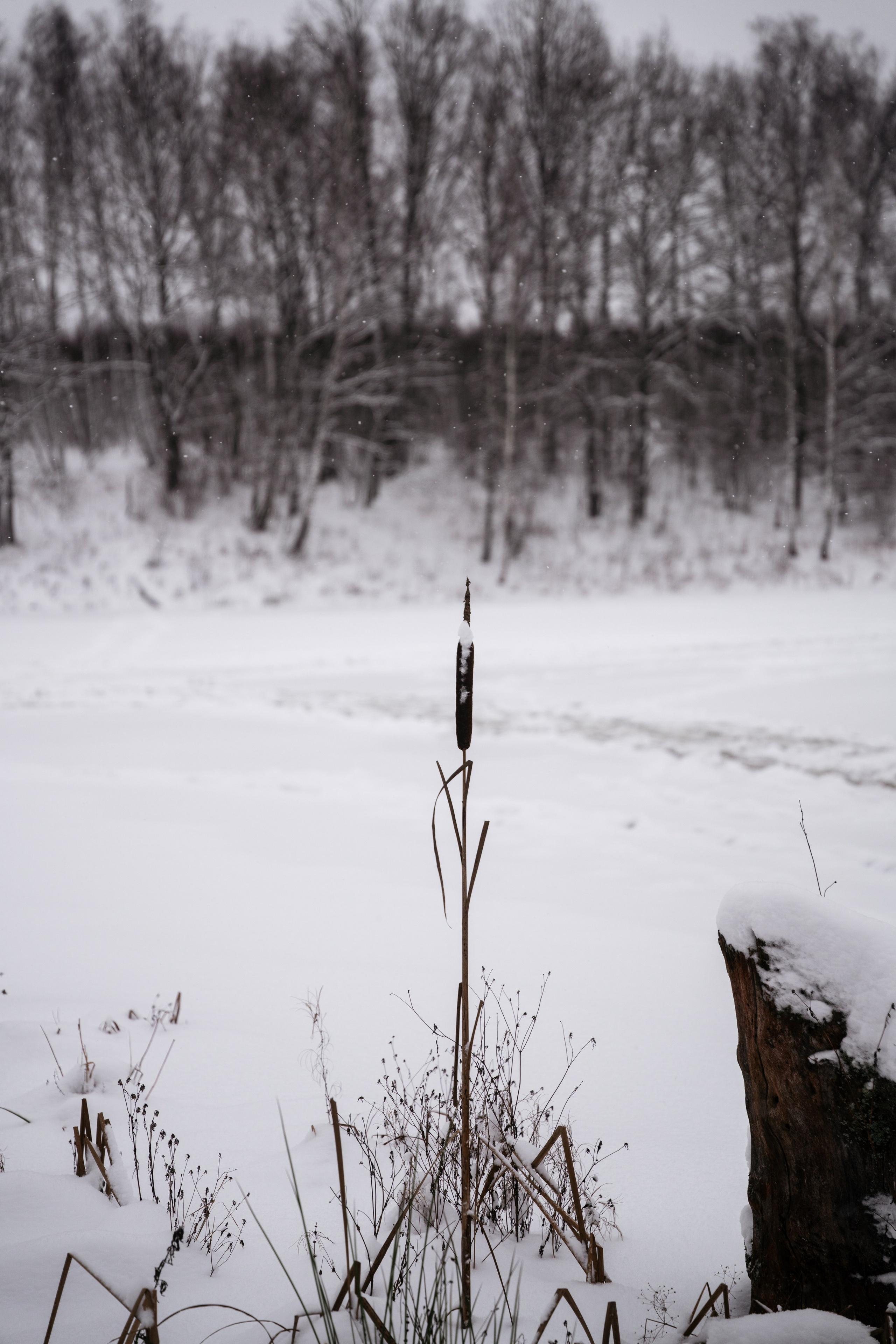 Поездка к р. Песочня и деревне Раевское. Vlad Trykov