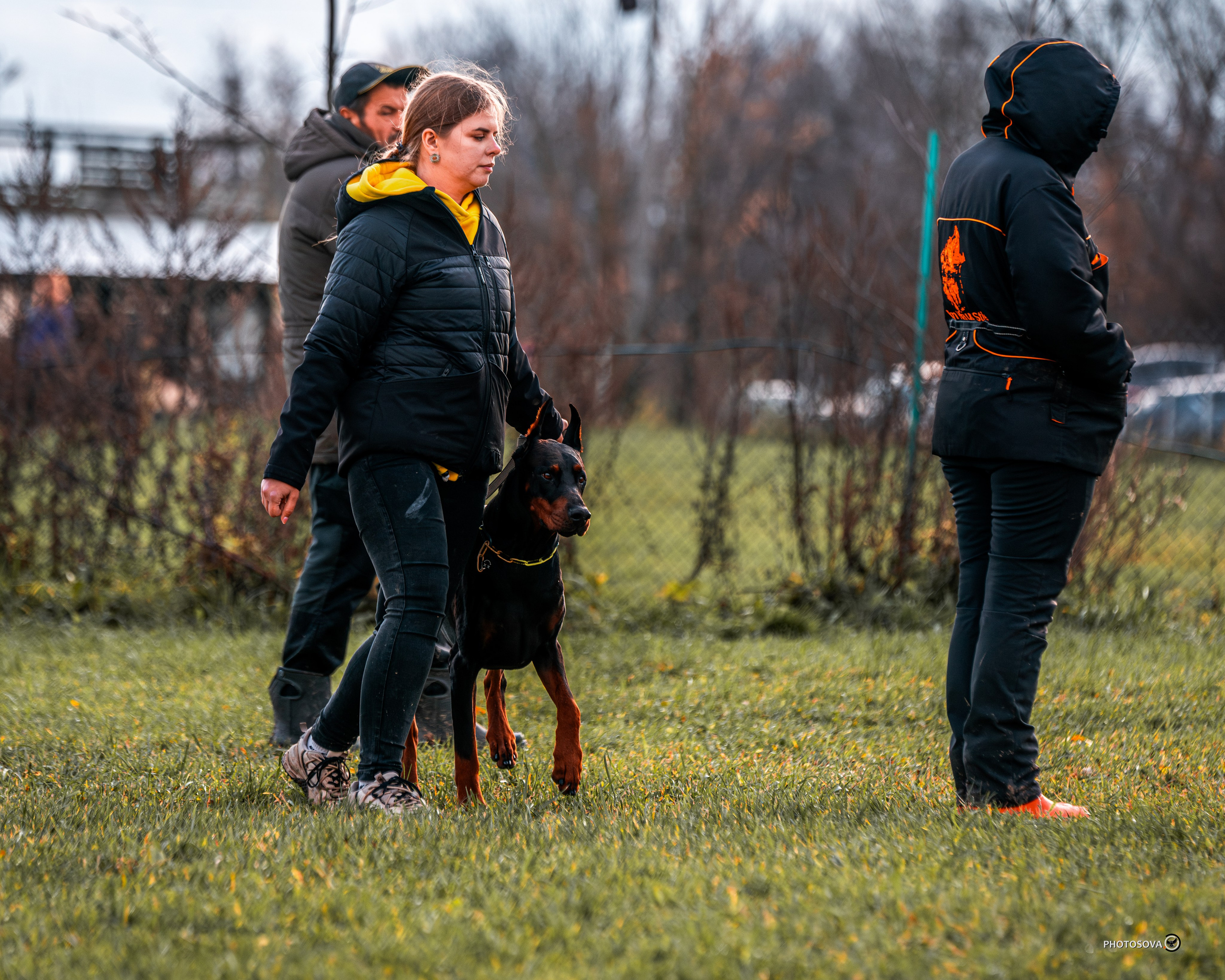 МЫ — КОМАНДА (соревнования) OKD, BH, IBGH, IGP. Фотограф-анималист, семейный фотограф в Москве и Подмосковье. Фотосъёмка кинологических дисциплин