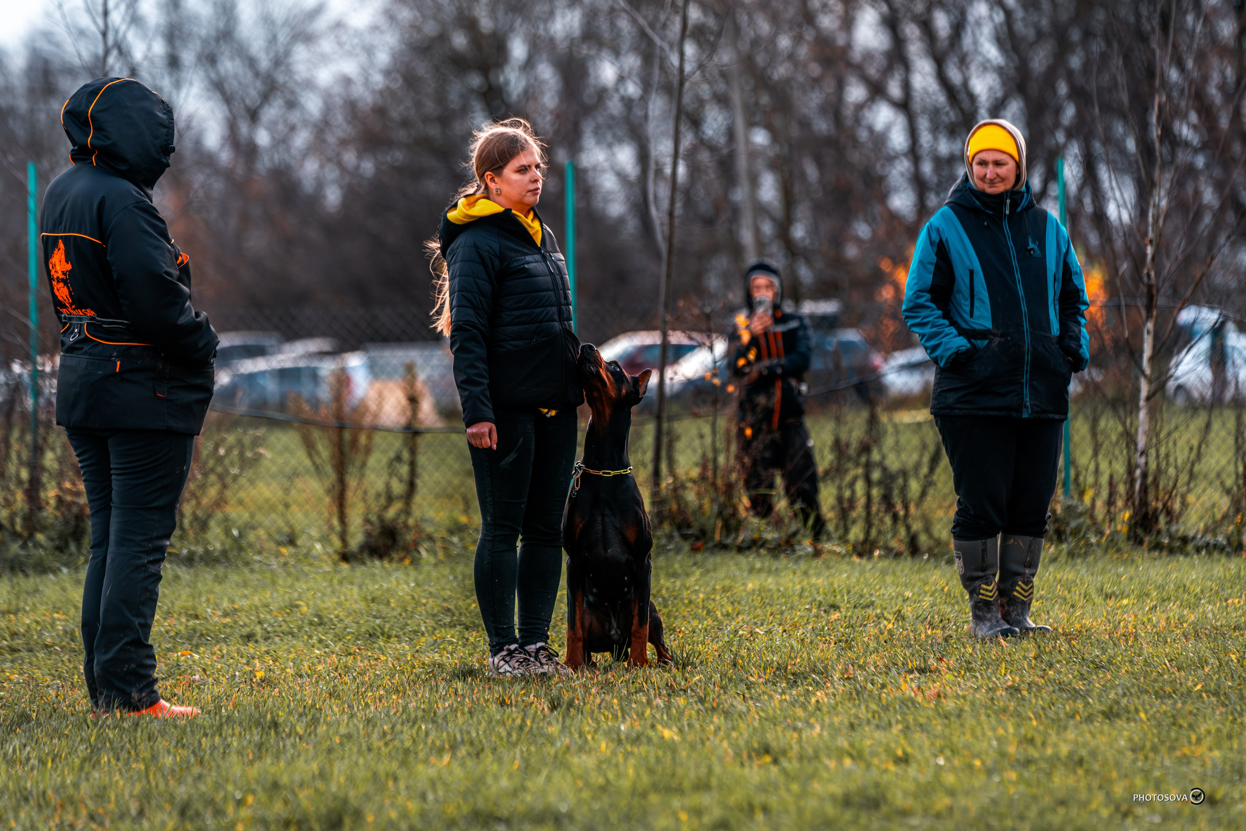 МЫ — КОМАНДА (соревнования) OKD, BH, IBGH, IGP. Фотограф-анималист, семейный фотограф в Москве и Подмосковье. Фотосъёмка кинологических дисциплин