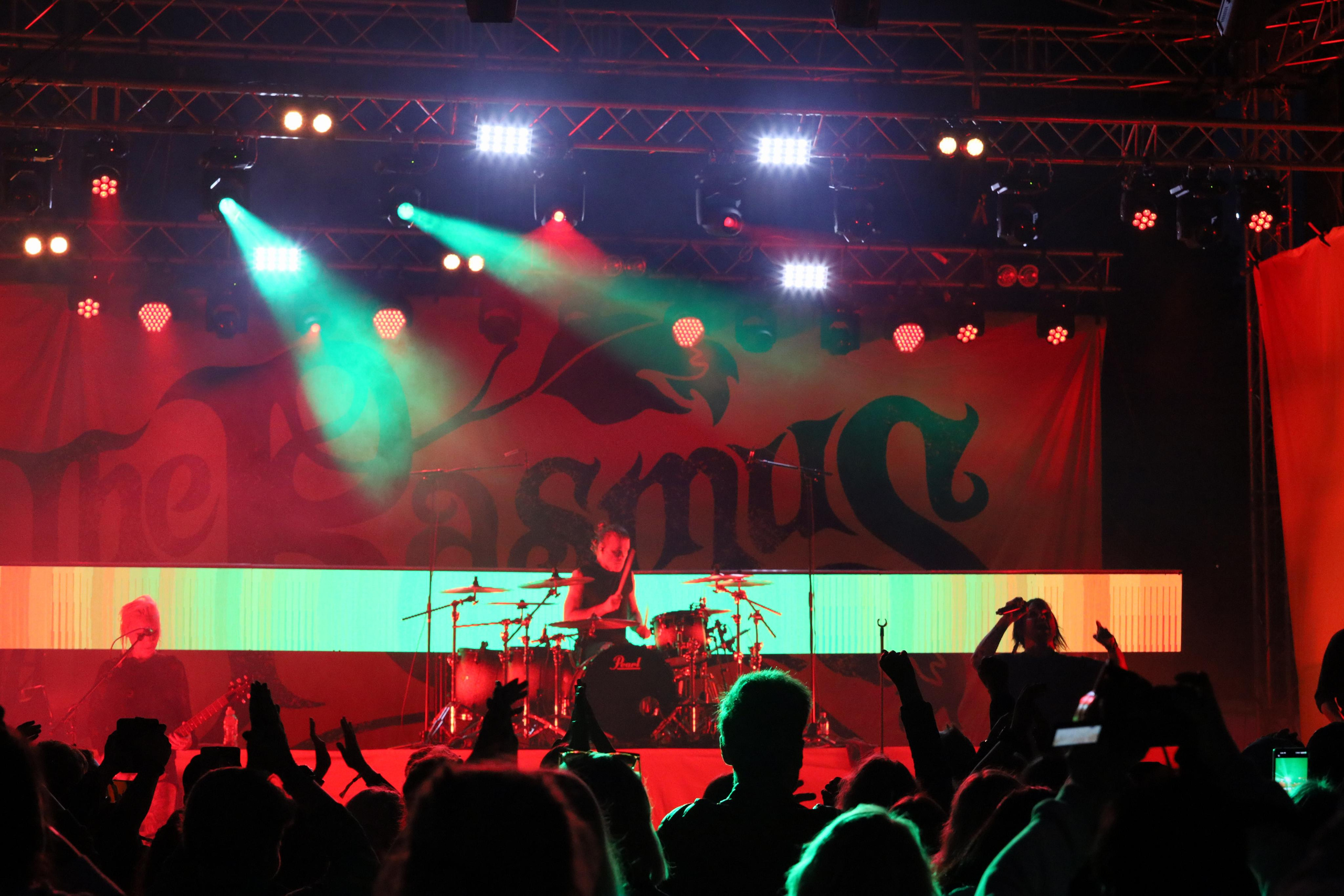 Репортажная фотосъёмка. Фотограф Мария Дрогунова