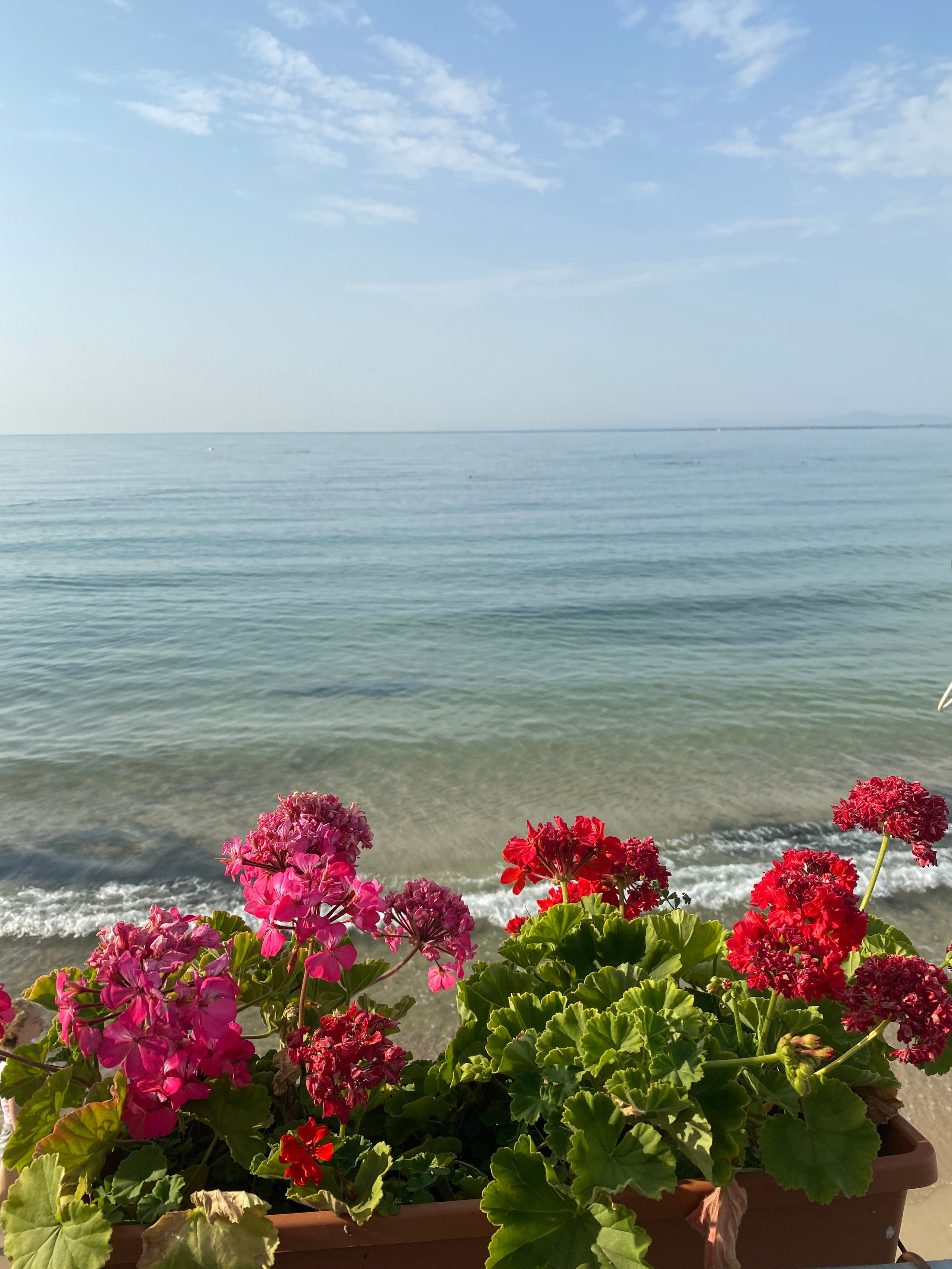 Равда, Несебр — 21. Своя Мастерская