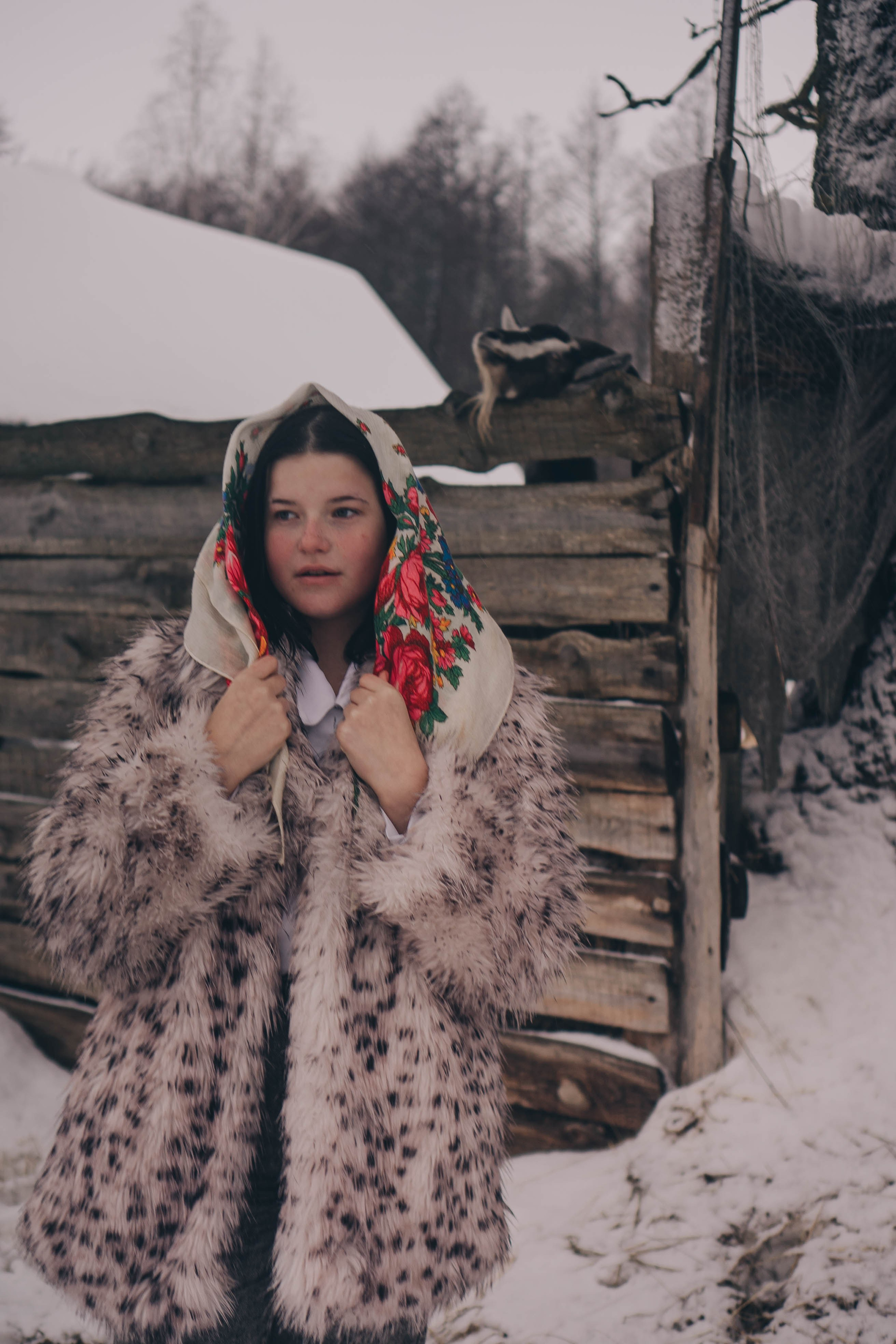 Деревня. Профессиональный фотограф, Санкт-Петербург — Виктория Богомолова