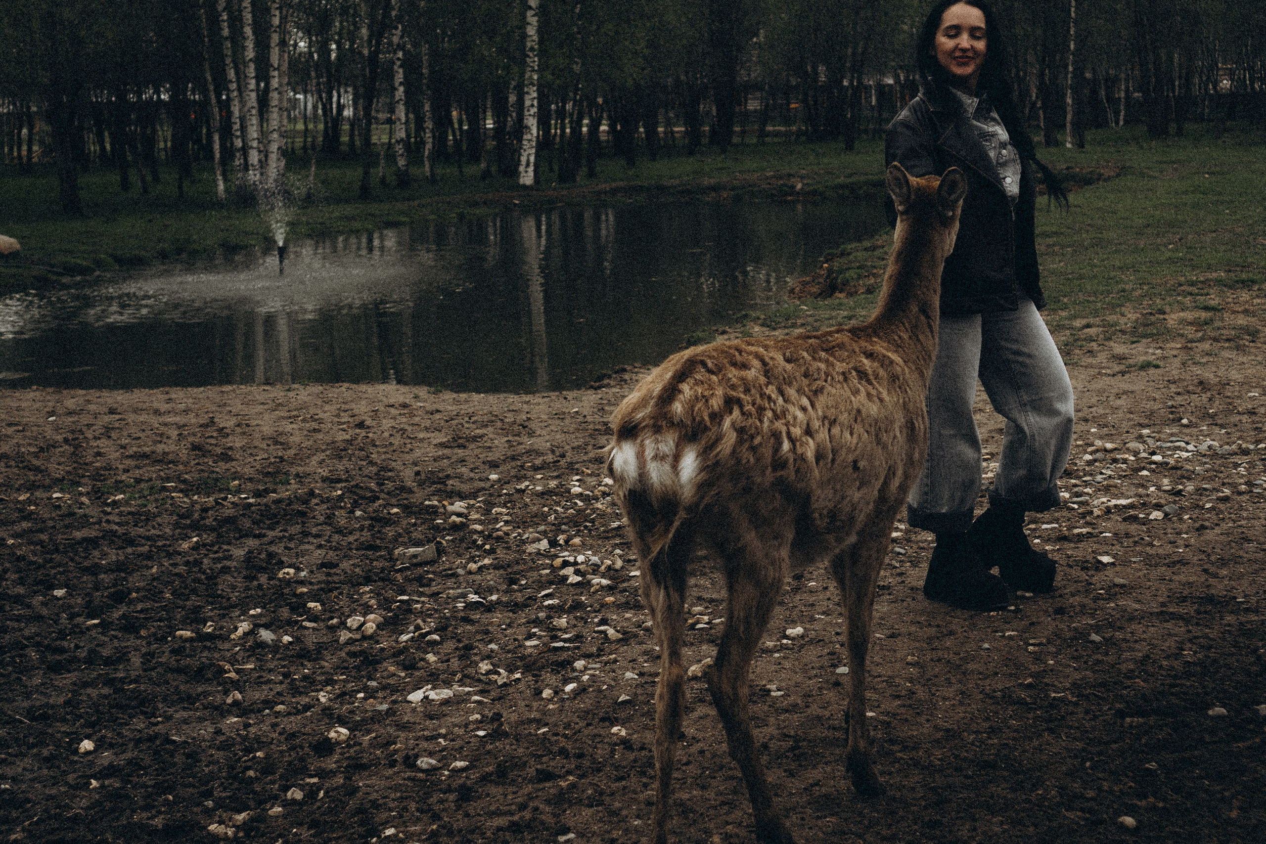 ОЛЕНЬЯ ФЕРМА В ТВЕРИ. Профессиональный фотограф, Санкт-Петербург — Виктория Богомолова