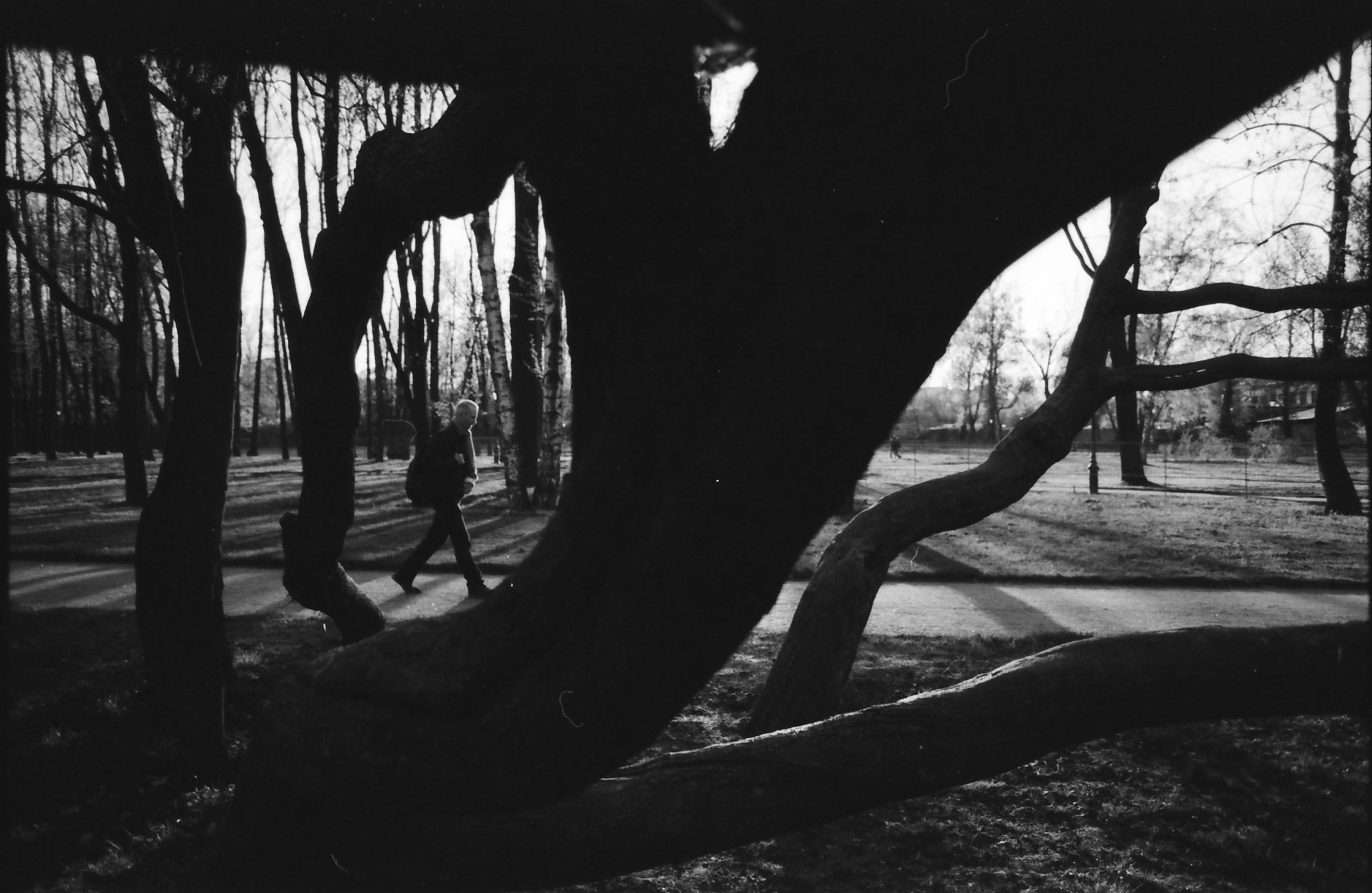 Стрит 2018-∞. Наталья Рутова