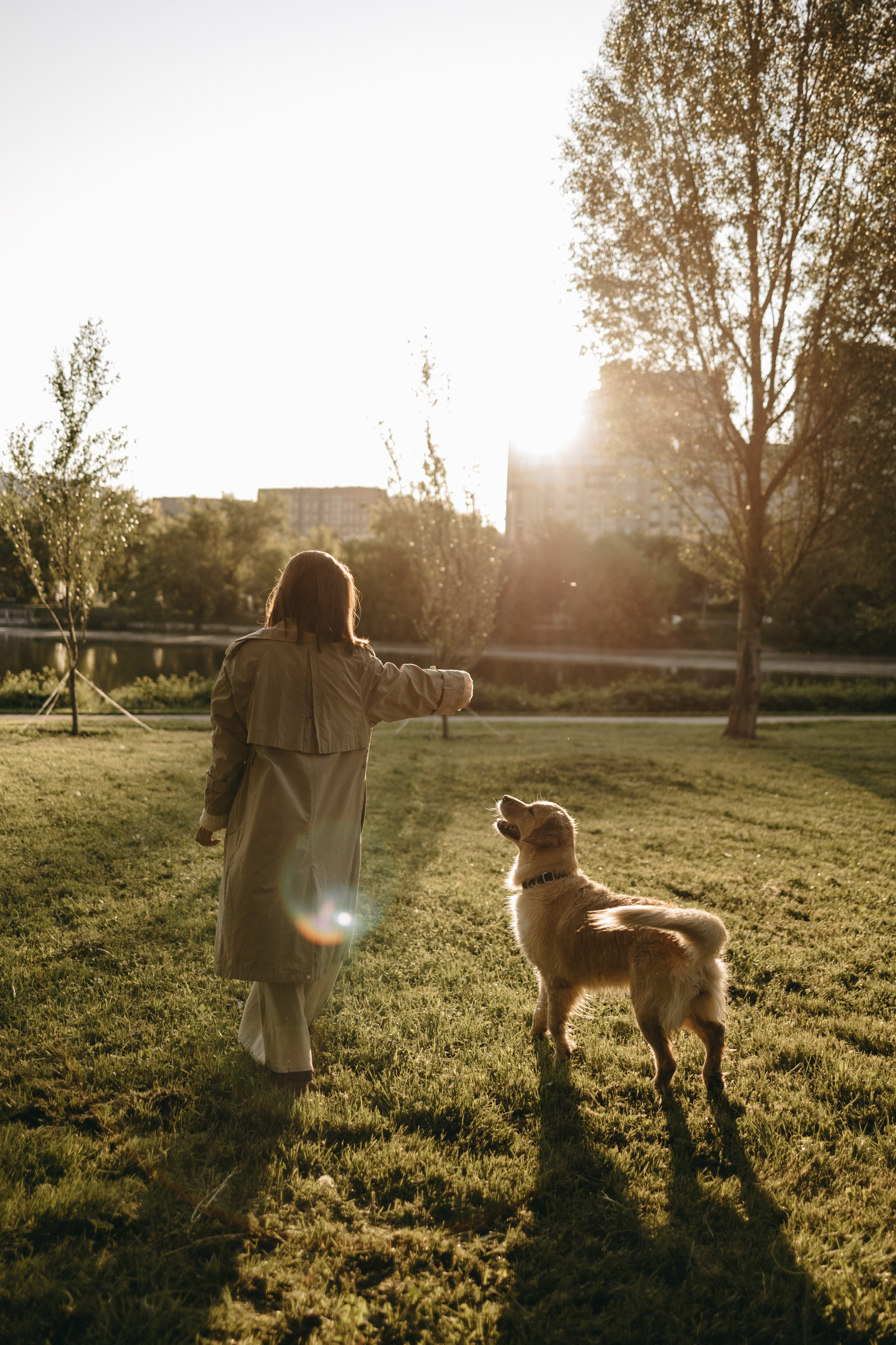 Пенни и ребята. Фотограф — Анималист | Санкт-Петербург