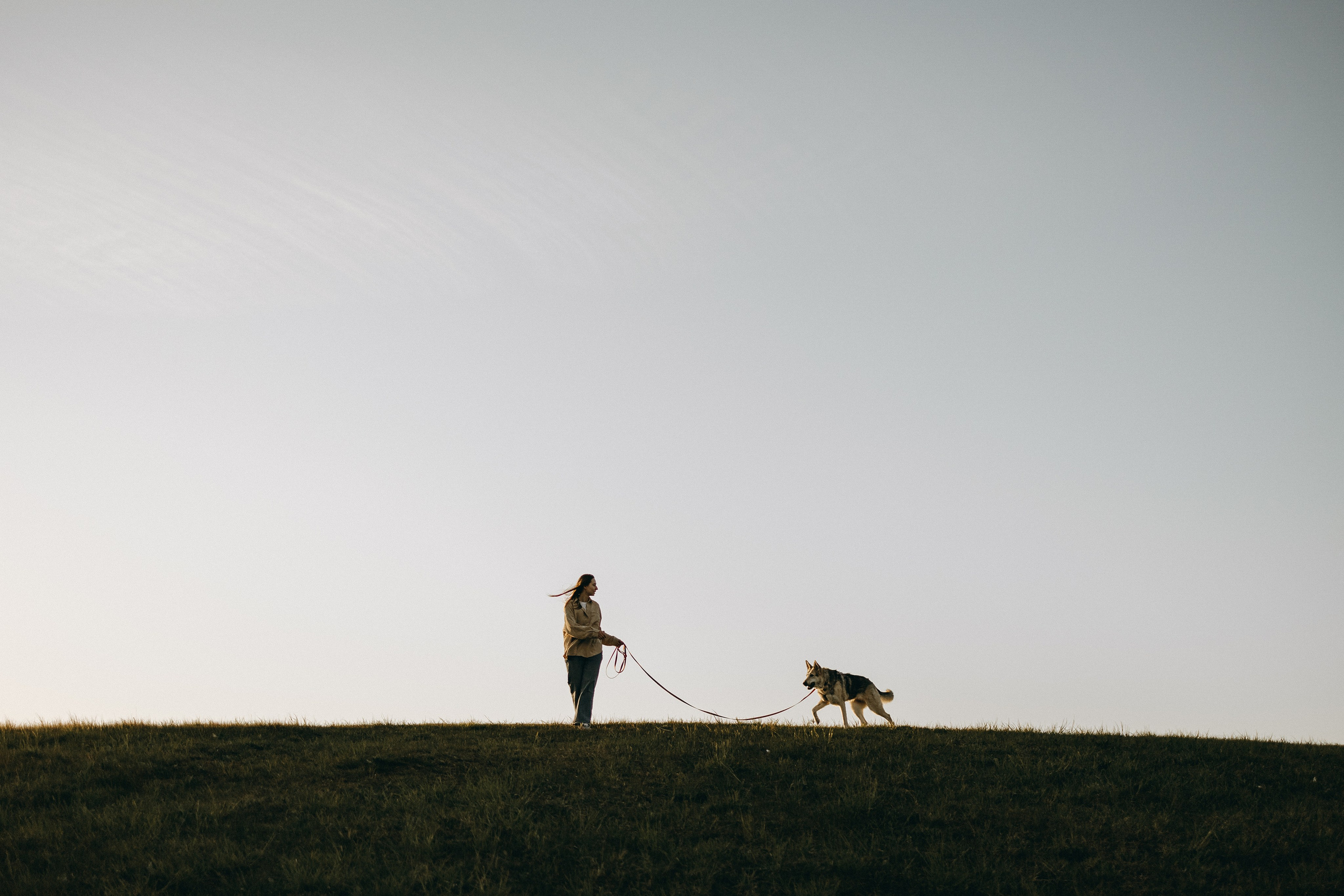 Саша и Зельда. Фотограф — Анималист | Санкт-Петербург