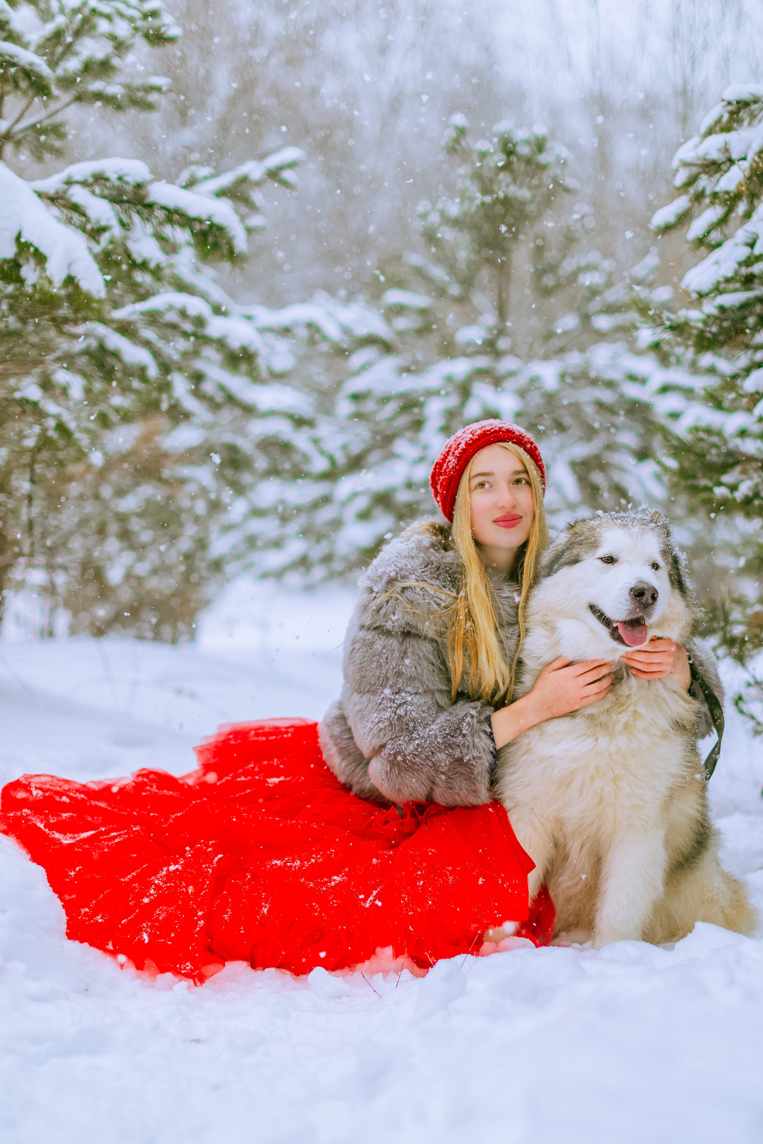 Фотосессии с аляскинским маламутом. Фото и видео Москва, Московский. Свадебный фотограф, видеограф, фотосессии, видеосъемка