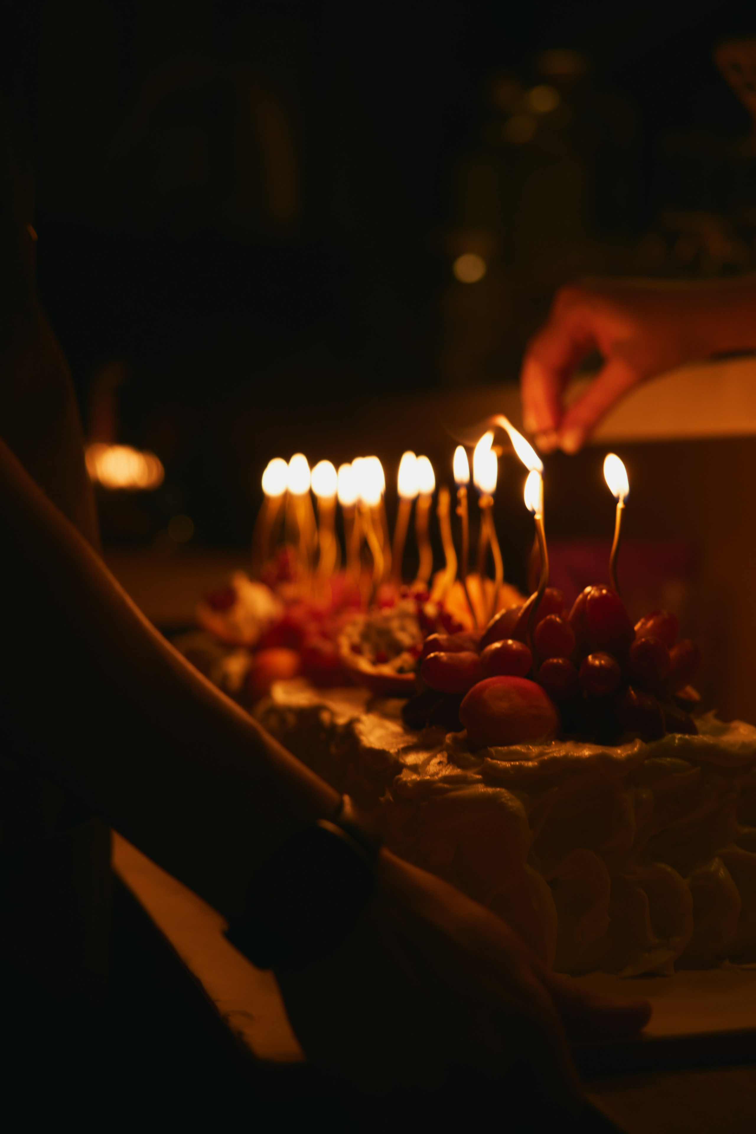 WOMAN WINGS FW 25|26 фото. Профессиональный фотограф Татьяна Евглевская