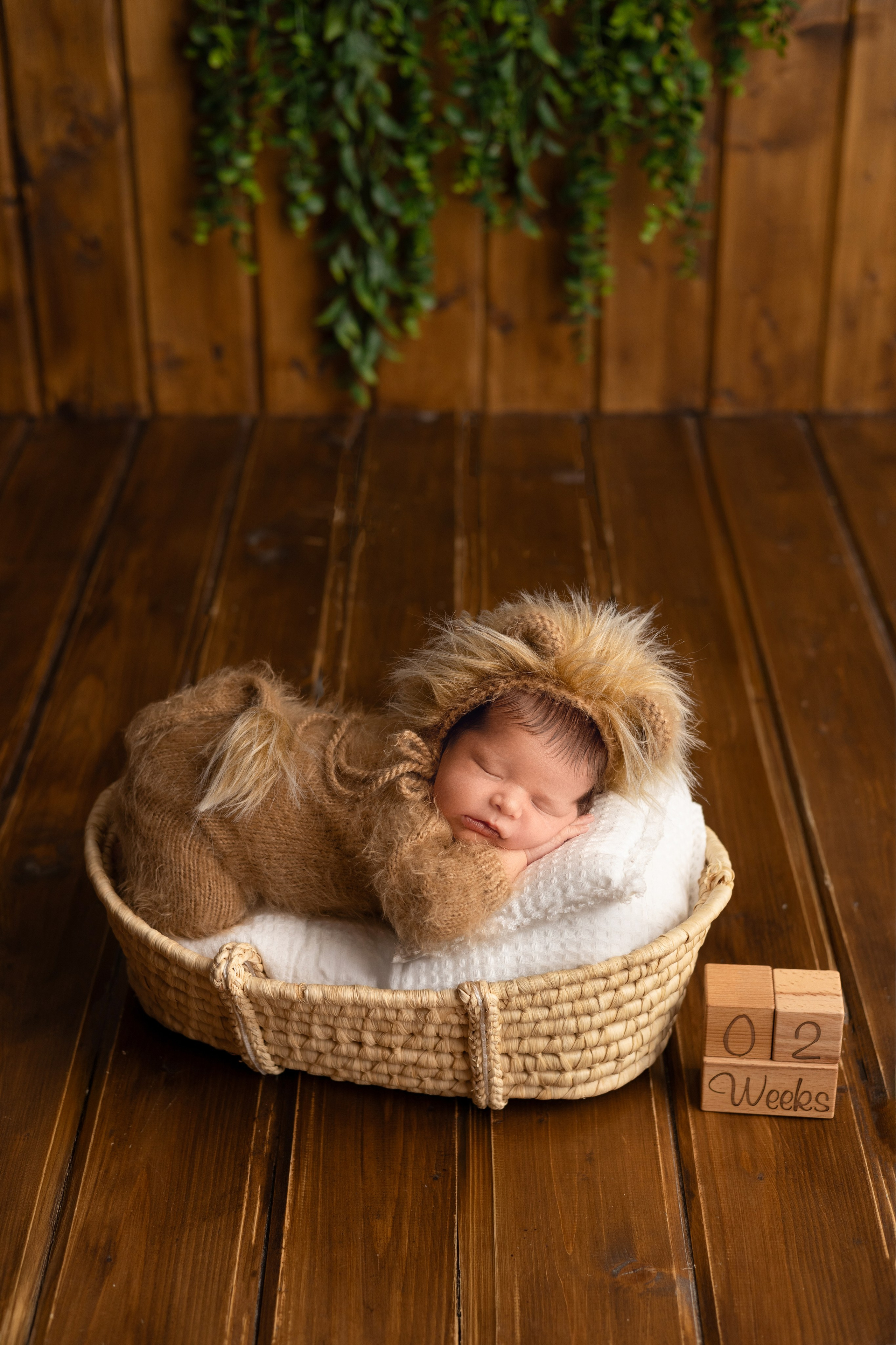 Лев. Фотограф новорожденных и детей до 18 месяцев в Уфе Эльвина