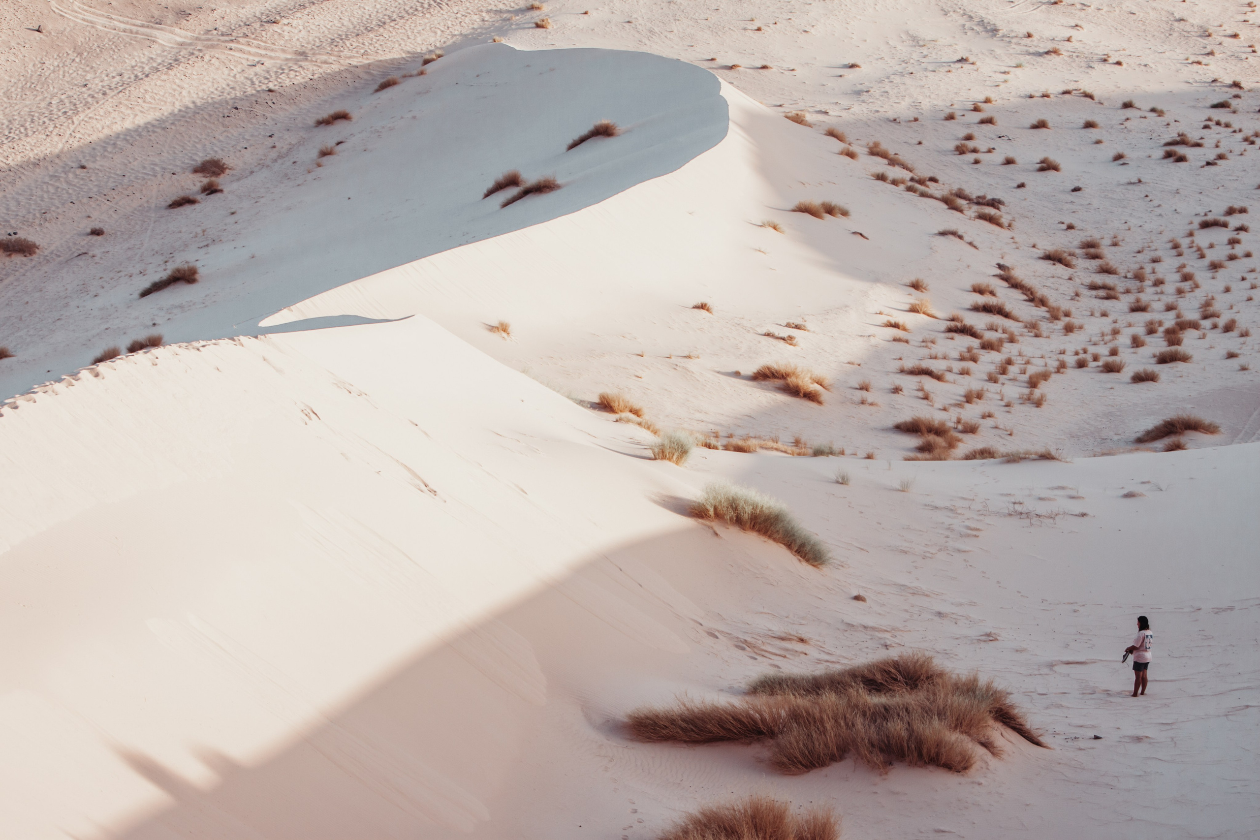 Дюна. ДарияГалямова — фотограф: открытый, творческий, коммерческий