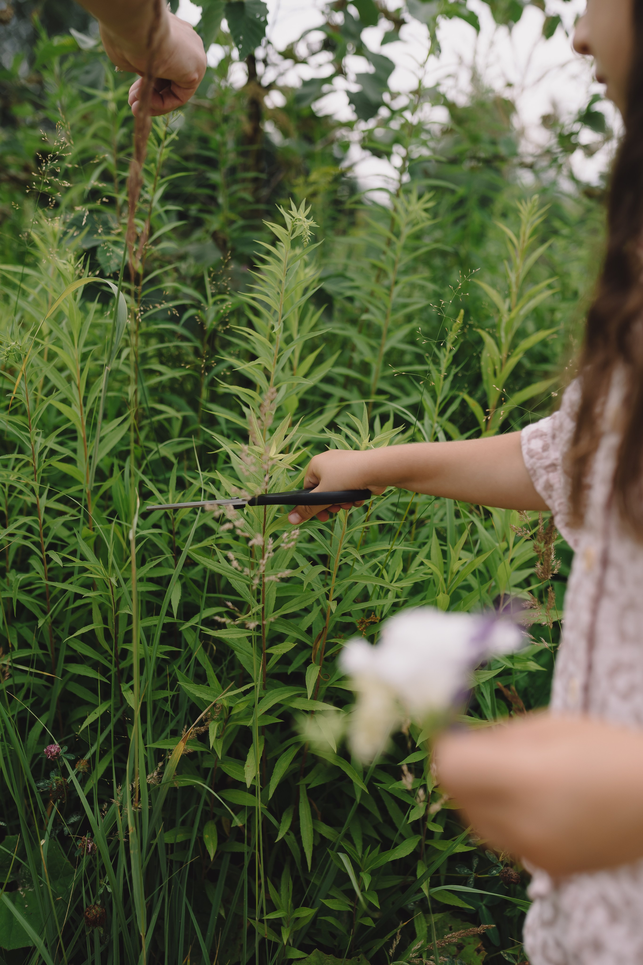 Прогулка по парку. Андрейко Надежда