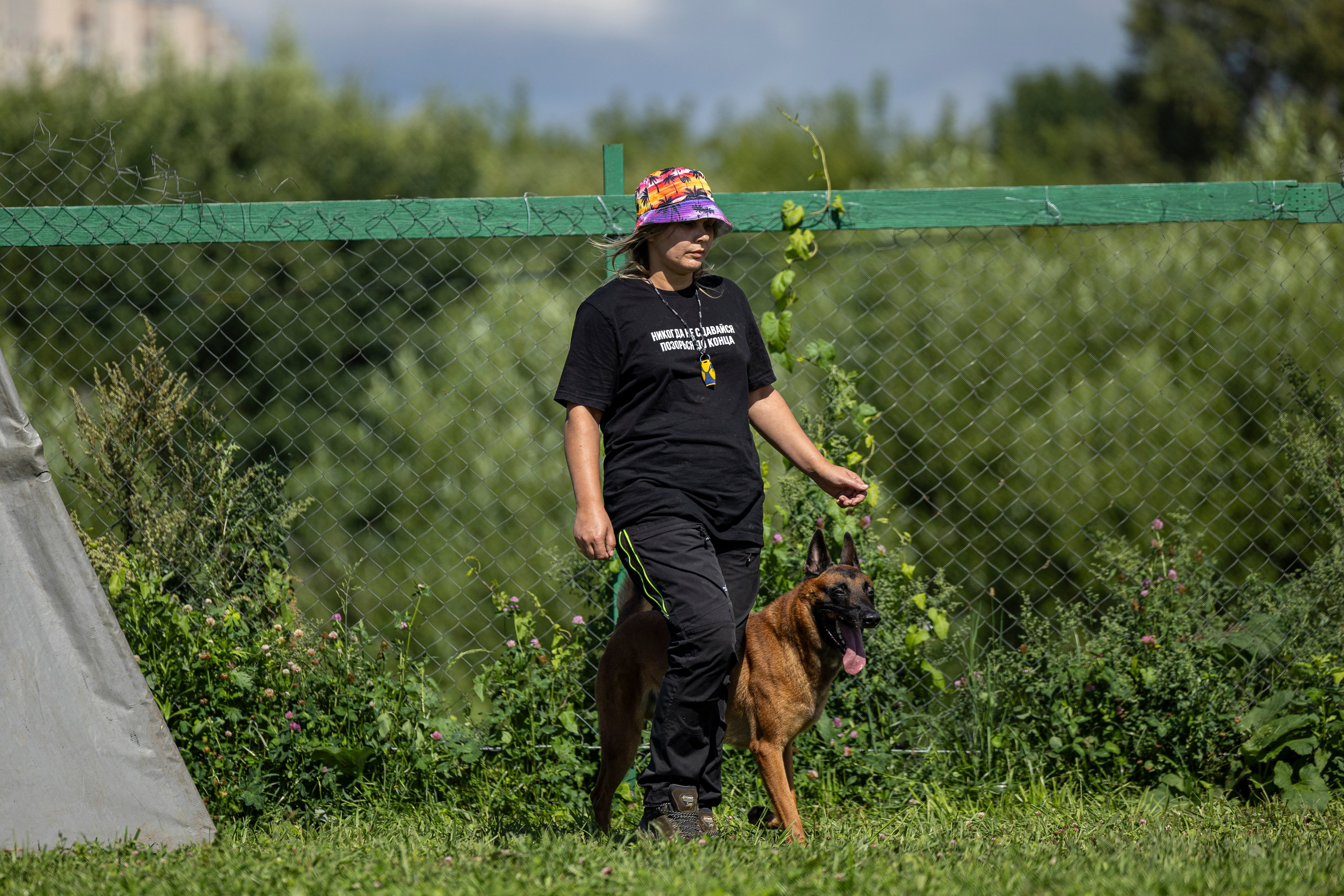 Соревнования по Мондьорингу г. Вологда 10-11.08.2024. Фотограф-анималист Анна Маринич
