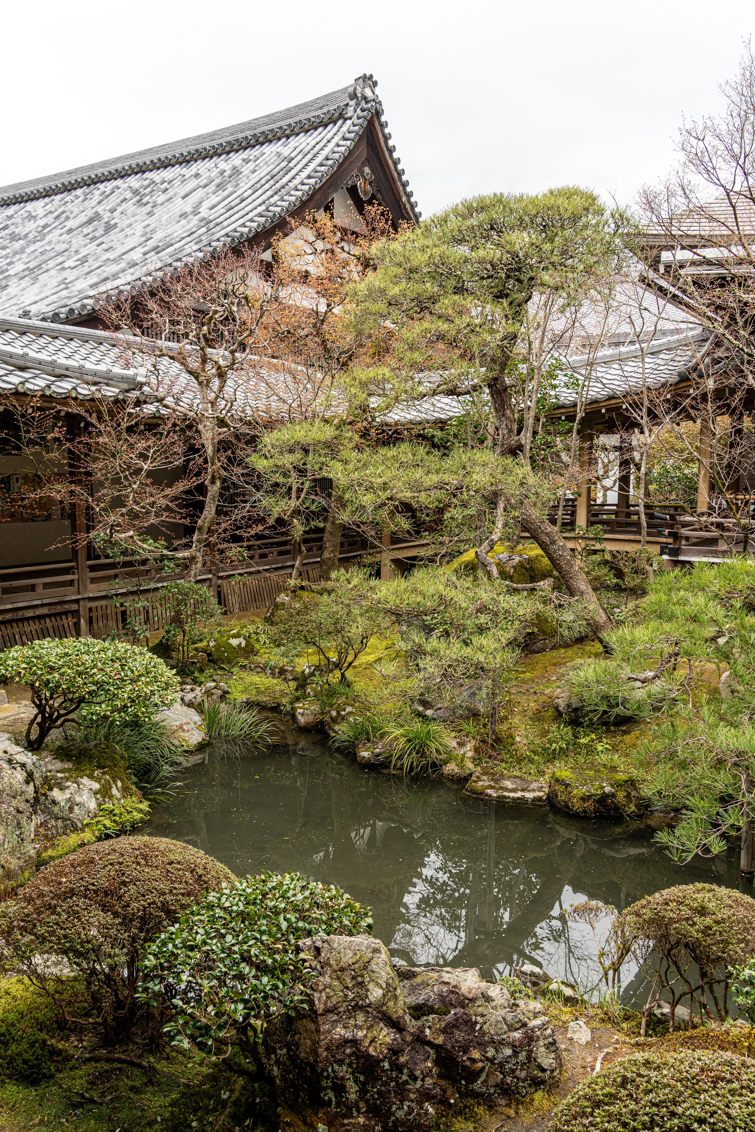 Япония, сакура. Творческие сьемки