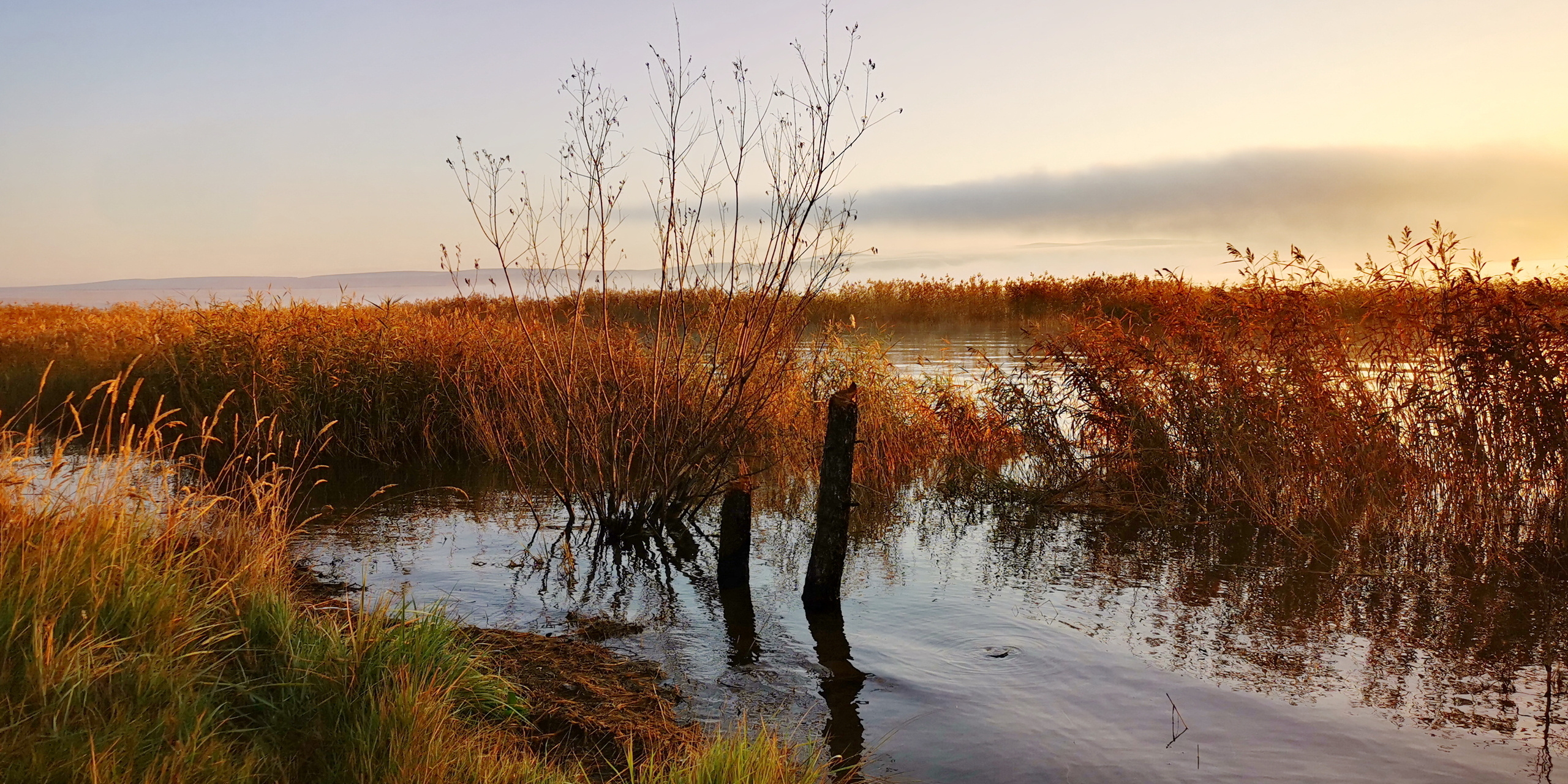 Походы и сплавы. Свадебный и семейный фотограф, видеограф. Живу в городе Нефтекамске, Б