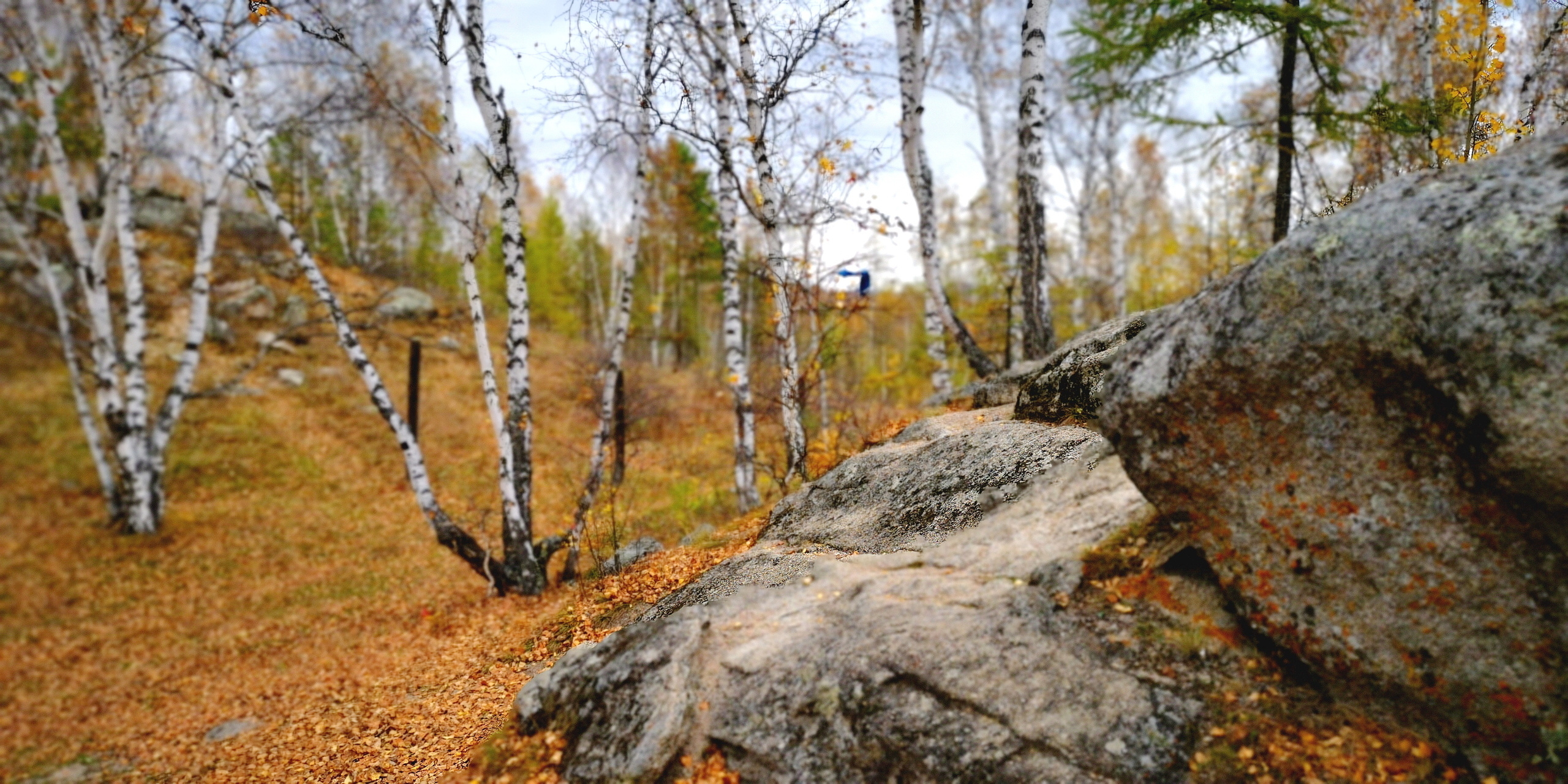 Походы и сплавы. Свадебный и семейный фотограф, видеограф. Живу в городе Нефтекамске, Б