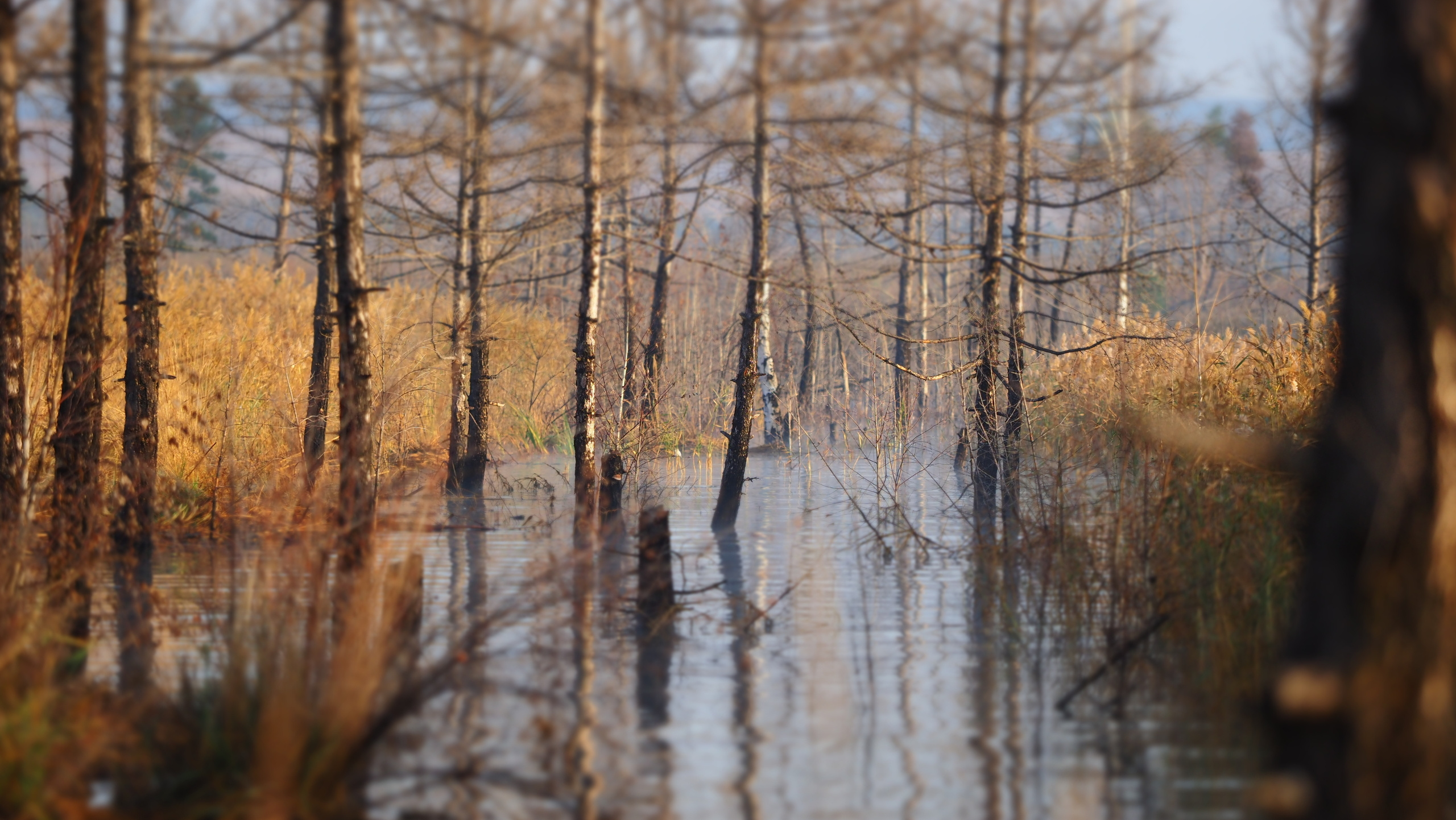 Походы и сплавы. Свадебный и семейный фотограф, видеограф. Живу в городе Нефтекамске, Б