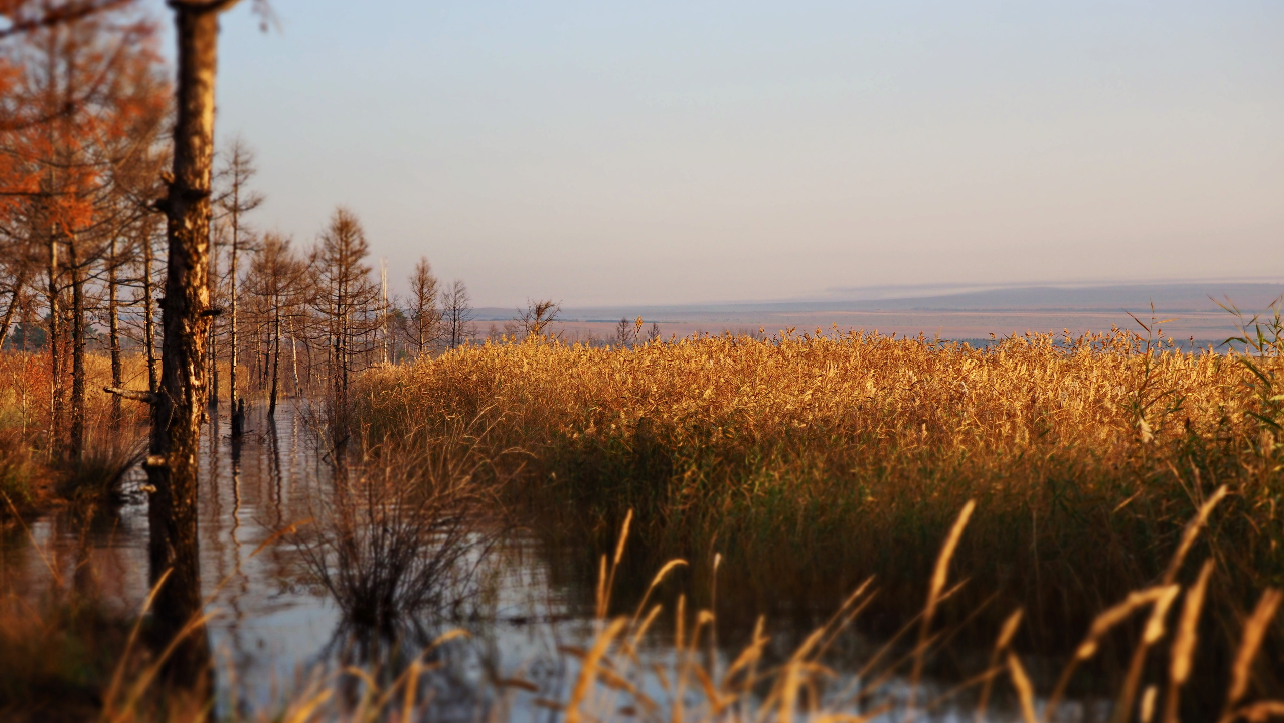 Походы и сплавы. Свадебный и семейный фотограф, видеограф. Живу в городе Нефтекамске, Б