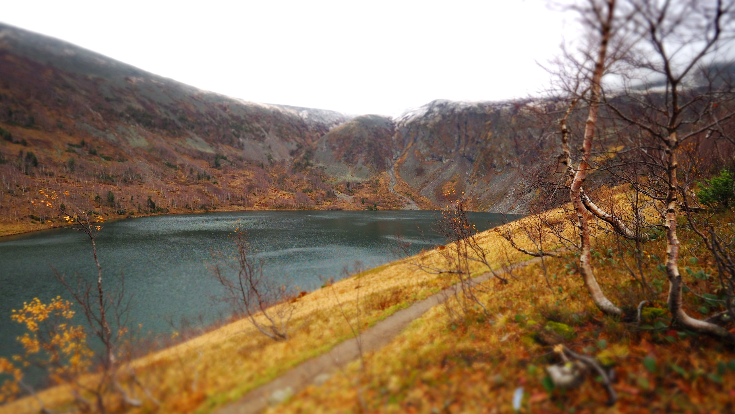 Походы и сплавы. Свадебный и семейный фотограф, видеограф. Живу в городе Нефтекамске, Б