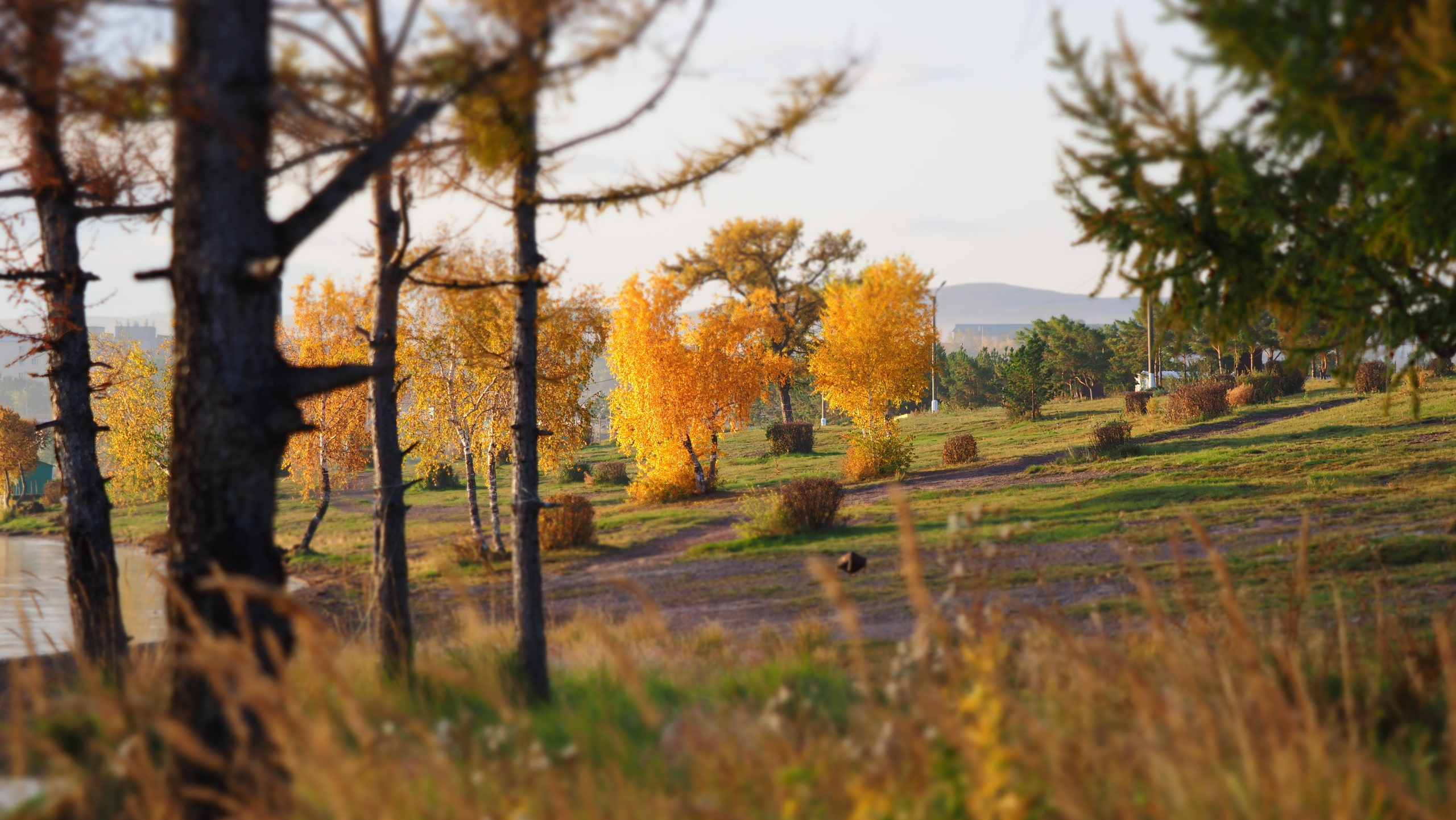 Походы и сплавы. Свадебный и семейный фотограф, видеограф. Живу в городе Нефтекамске, Б
