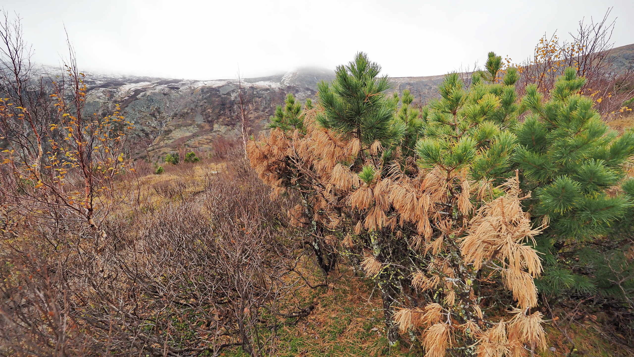 Походы и сплавы. Свадебный и семейный фотограф, видеограф. Живу в городе Нефтекамске, Б