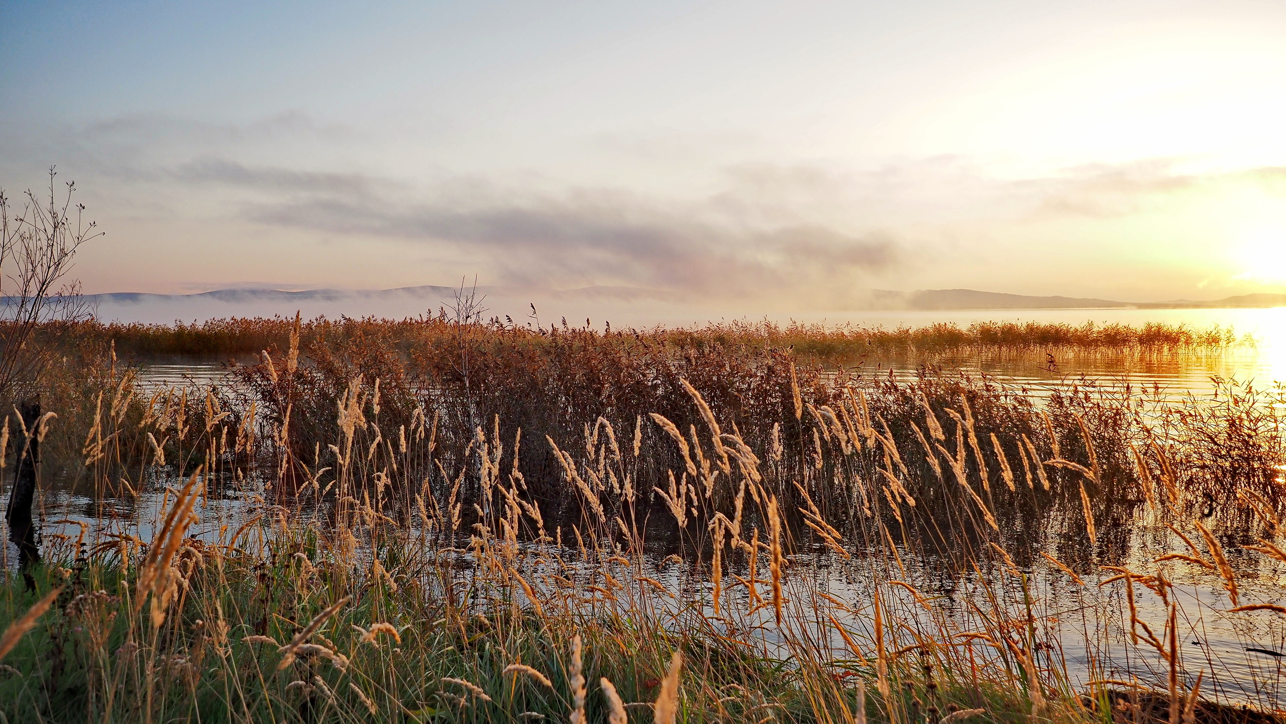 Походы и сплавы. Свадебный и семейный фотограф, видеограф. Живу в городе Нефтекамске, Б
