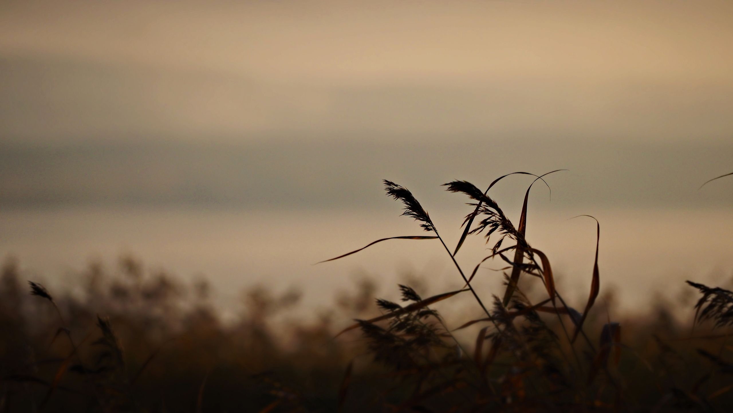 Походы и сплавы. Свадебный и семейный фотограф, видеограф. Живу в городе Нефтекамске, Б