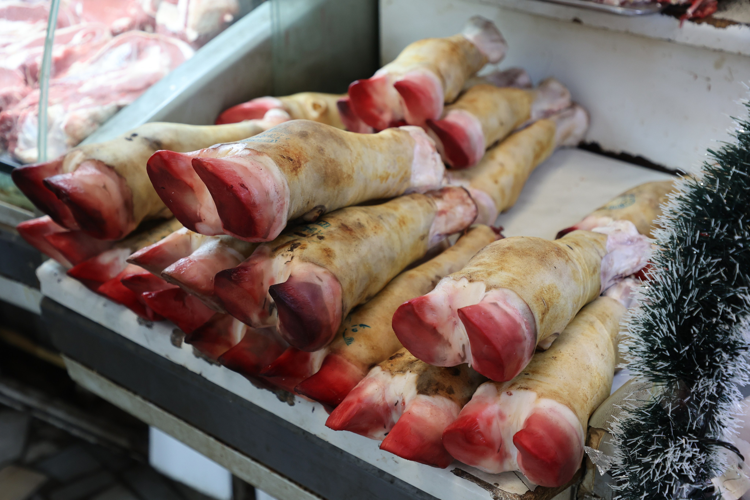 Tashkent, Uzbekistan. Andrey Filippov Photographer