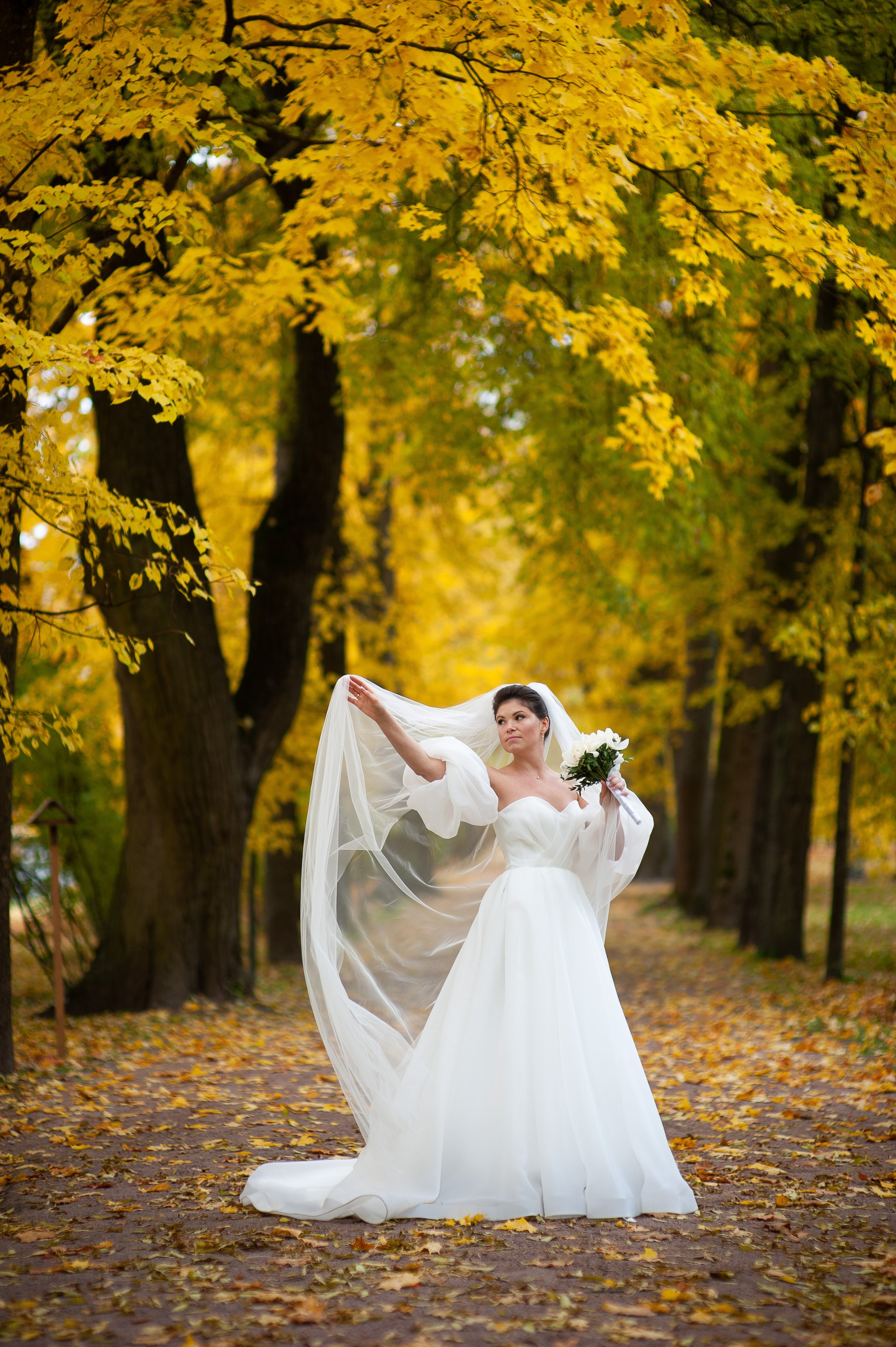 Осенняя свадебная прогулка в Екатерининском парке в Пушкине. Портретный, семейный и свадебный фотограф в Санкт-Петербурге и в Пушкине Ширяев Денис