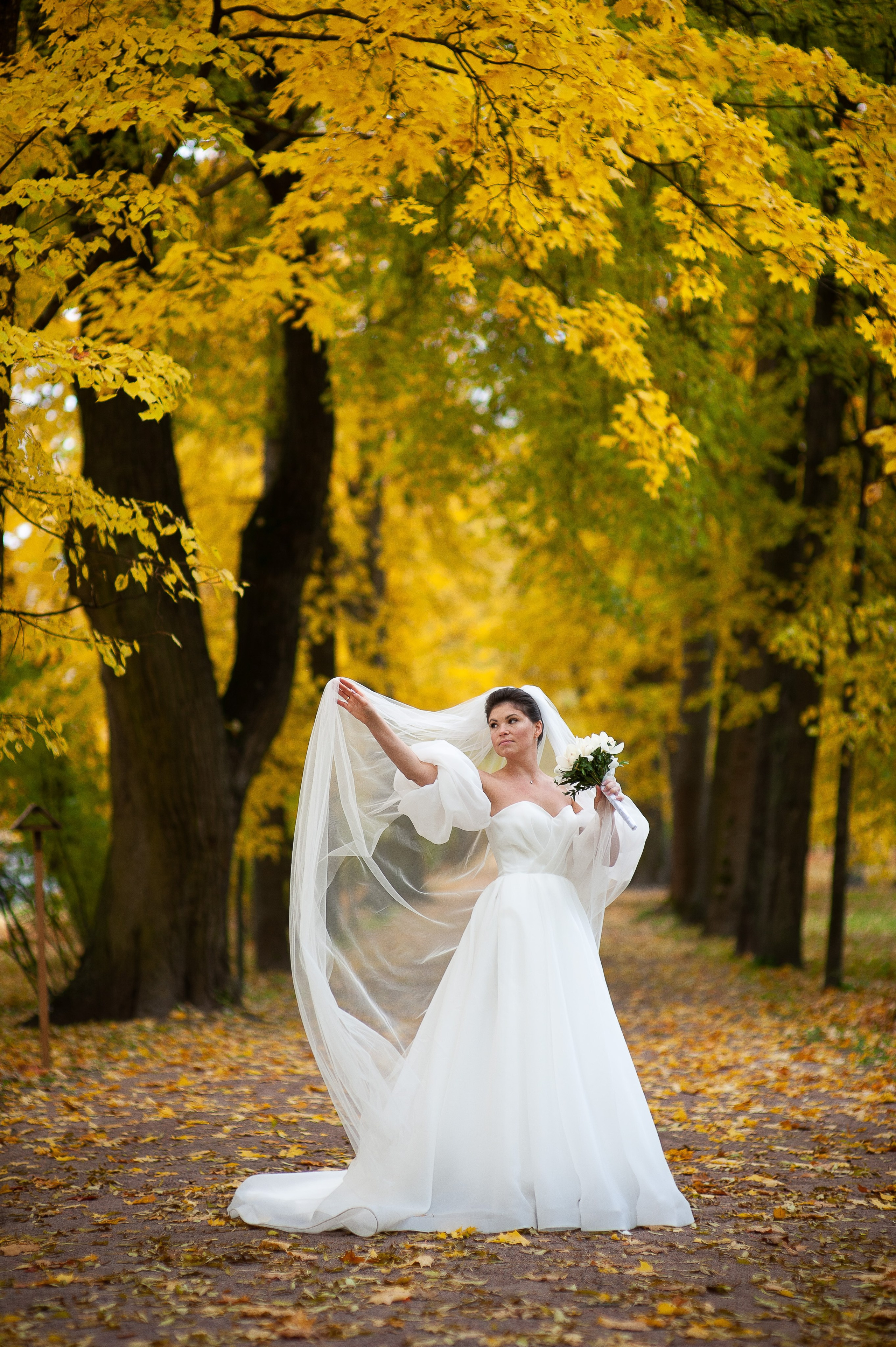 TOP-500 Самые красивые и лучшие свадебные фотографии от профессионального свадебного фотографа в Санкт-Петербурге Ширяева Дениса. Портретный, семейный и свадебный фотограф в Санкт-Петербурге и в Пушкине Ширяев Денис