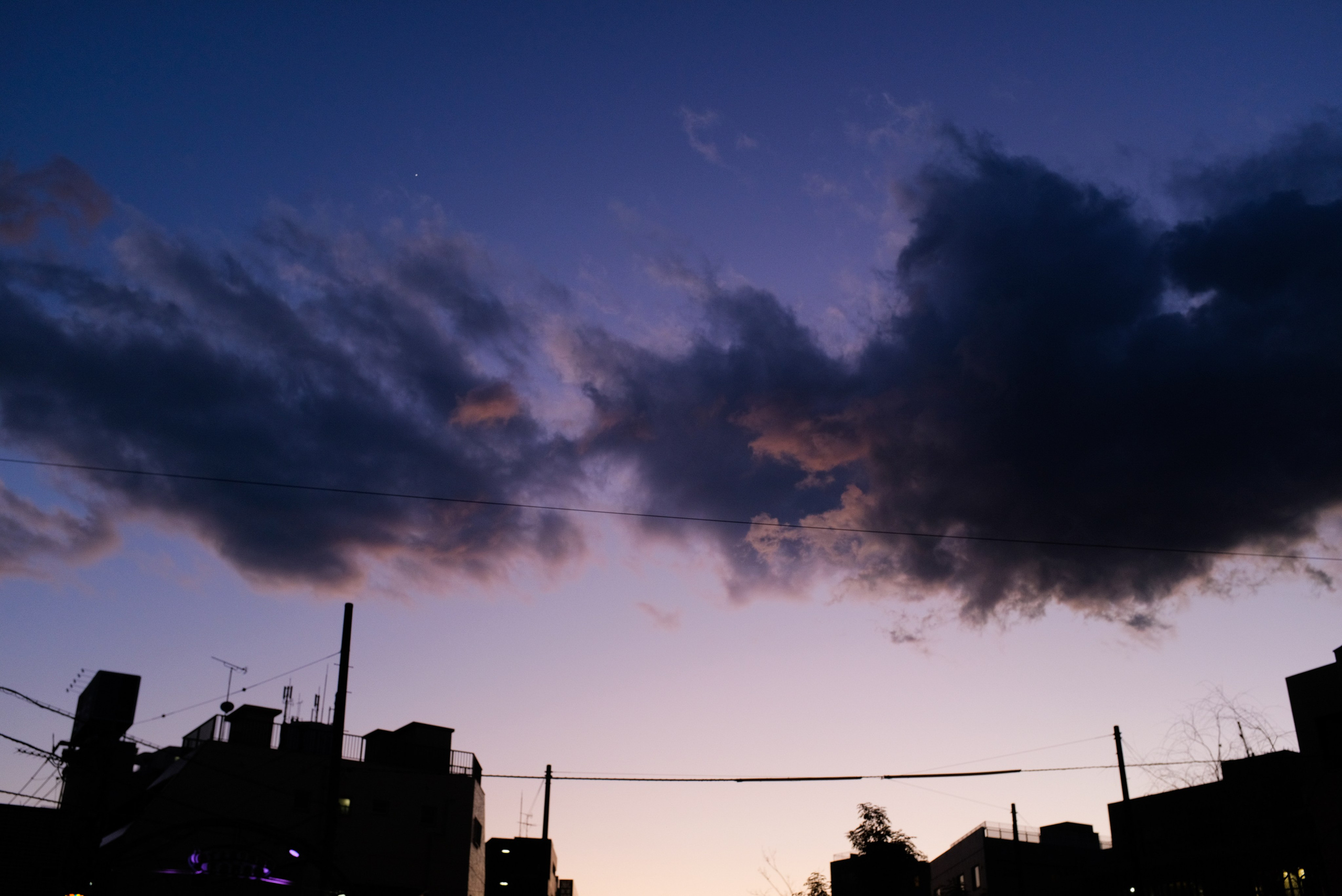 Tokyo. Regina Platonova