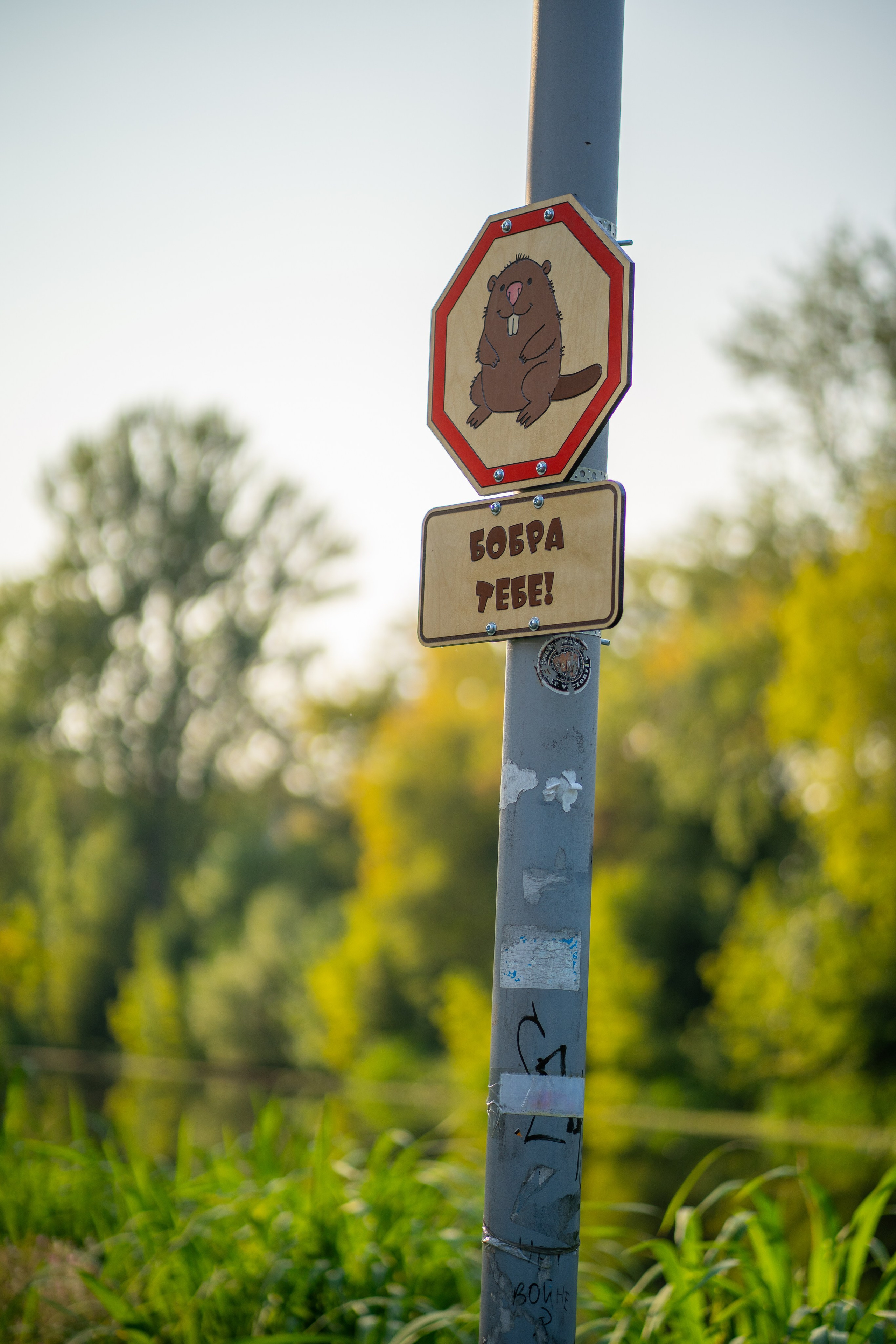 Знак у реки с надписью "Бобра тебе!"