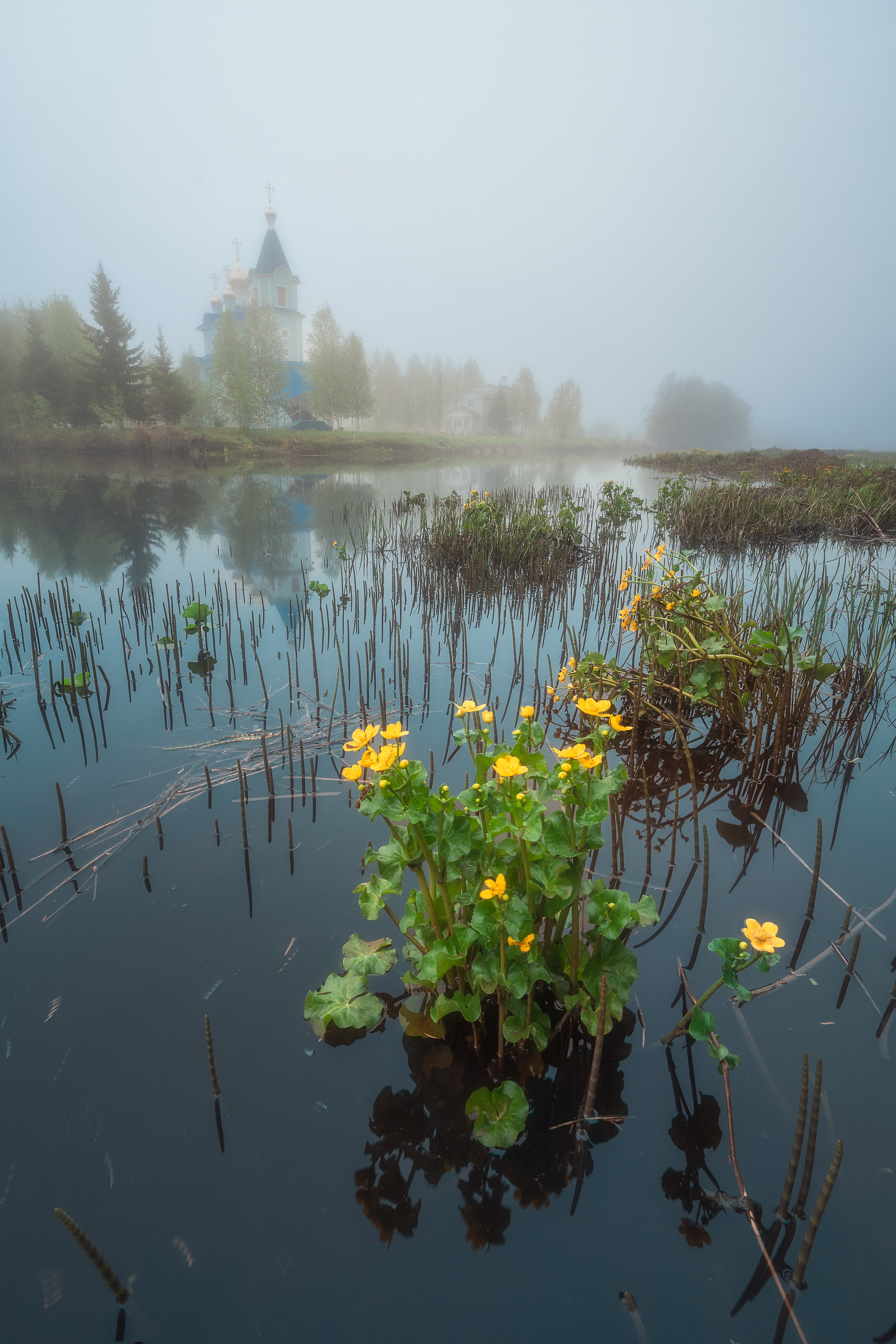 Пейзаж. Аэросъемка в Архангельске, Александр Ермолин