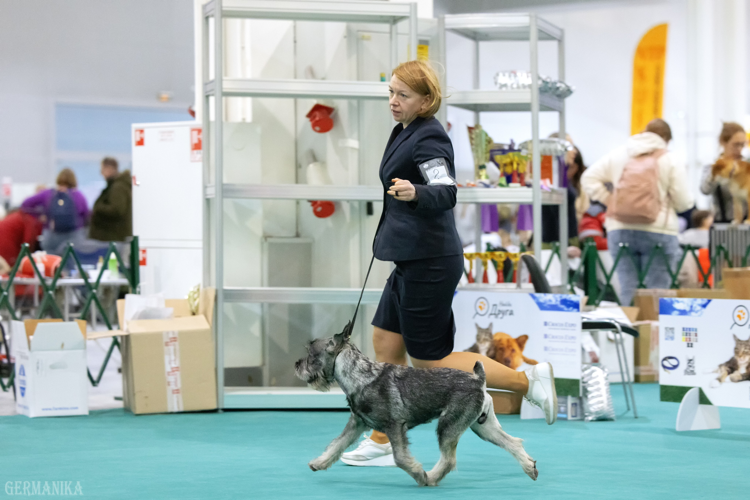 Крокус 10.02,Сфера 11.02.2024. Фотограф-анималист Юлия Германика