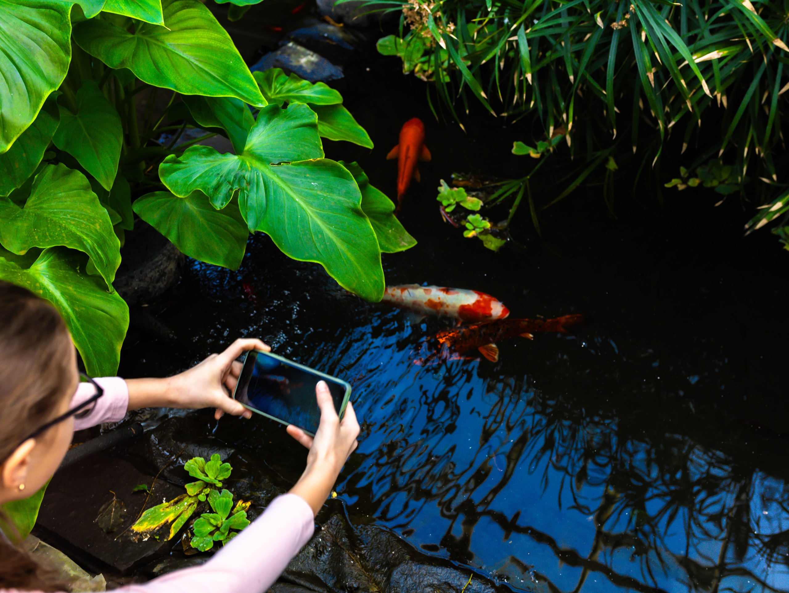 Фотографии природы Липецка. Свадебный и семейный фотограф Виолетта в Липецке
